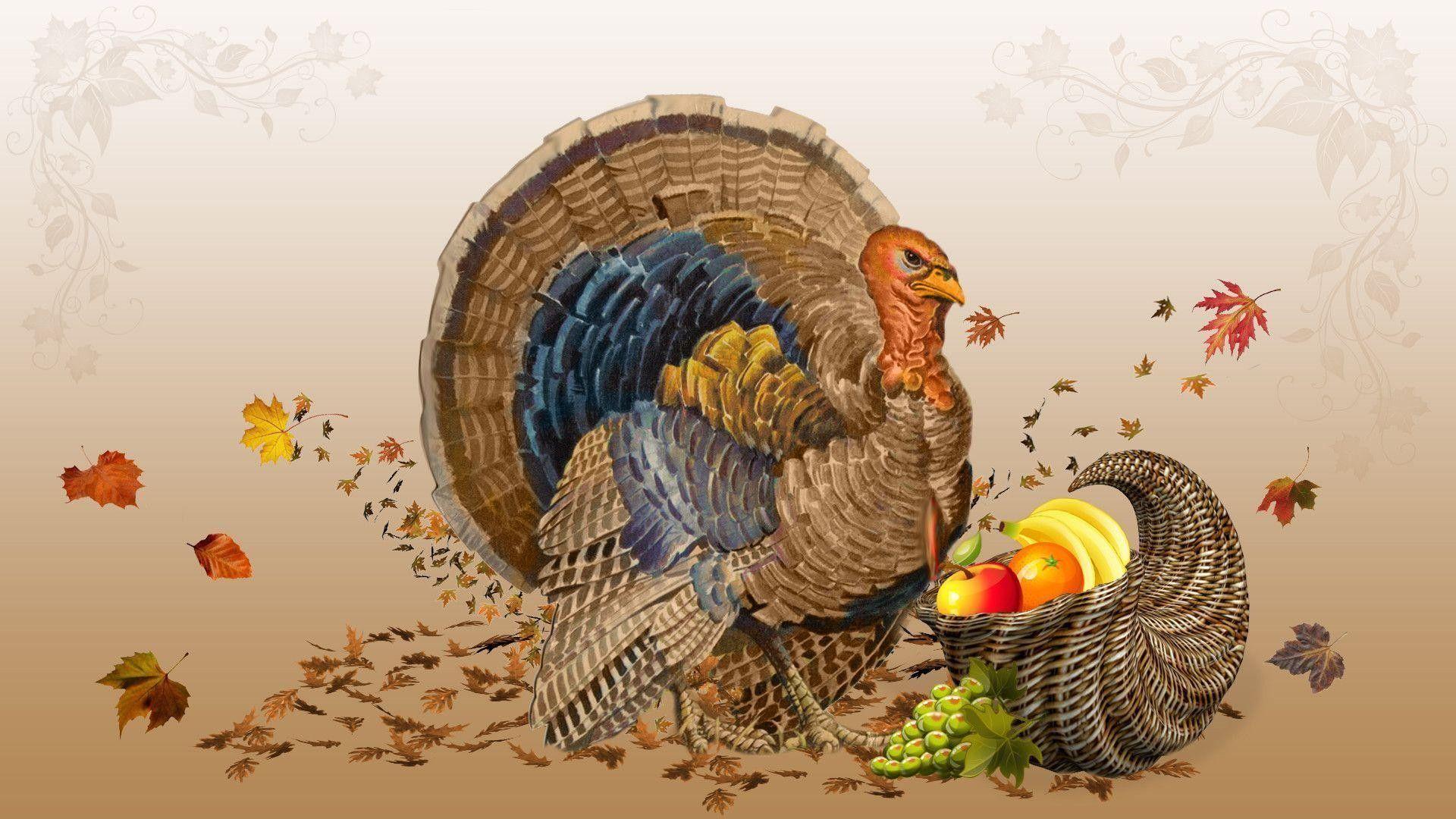 1920x1080 Funny Thanksgiving Desktop Wallpaper
