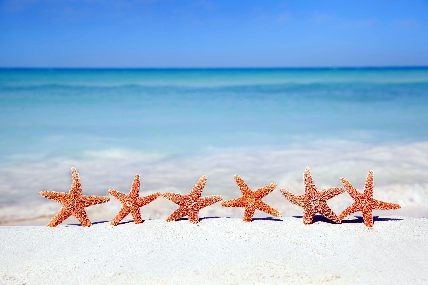 1698x1131 Starfish on Beach. HD Wallpaper Pulse