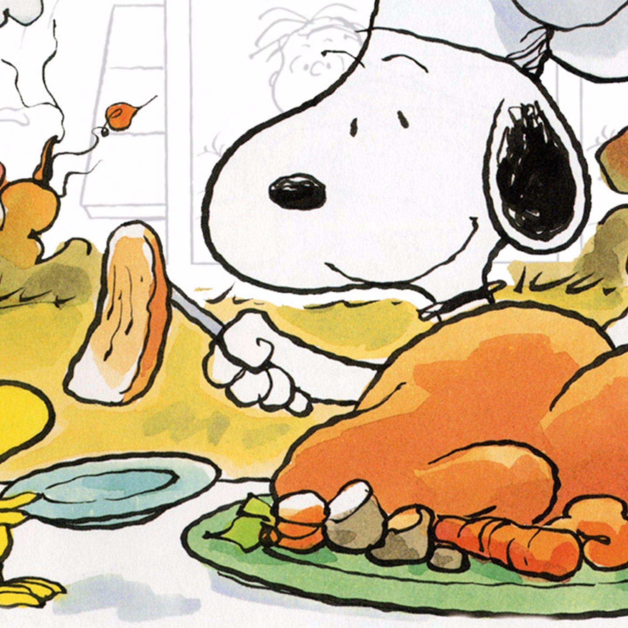 2048x2048 Snoopy 2016 Thanksgiving 4K Wallpaper. Free 4K Wallpaper