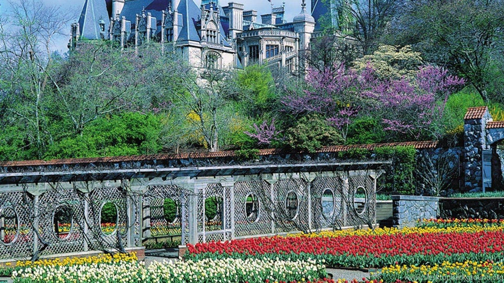 Biltmore Wallpapers - Top Free Biltmore Backgrounds - WallpaperAccess