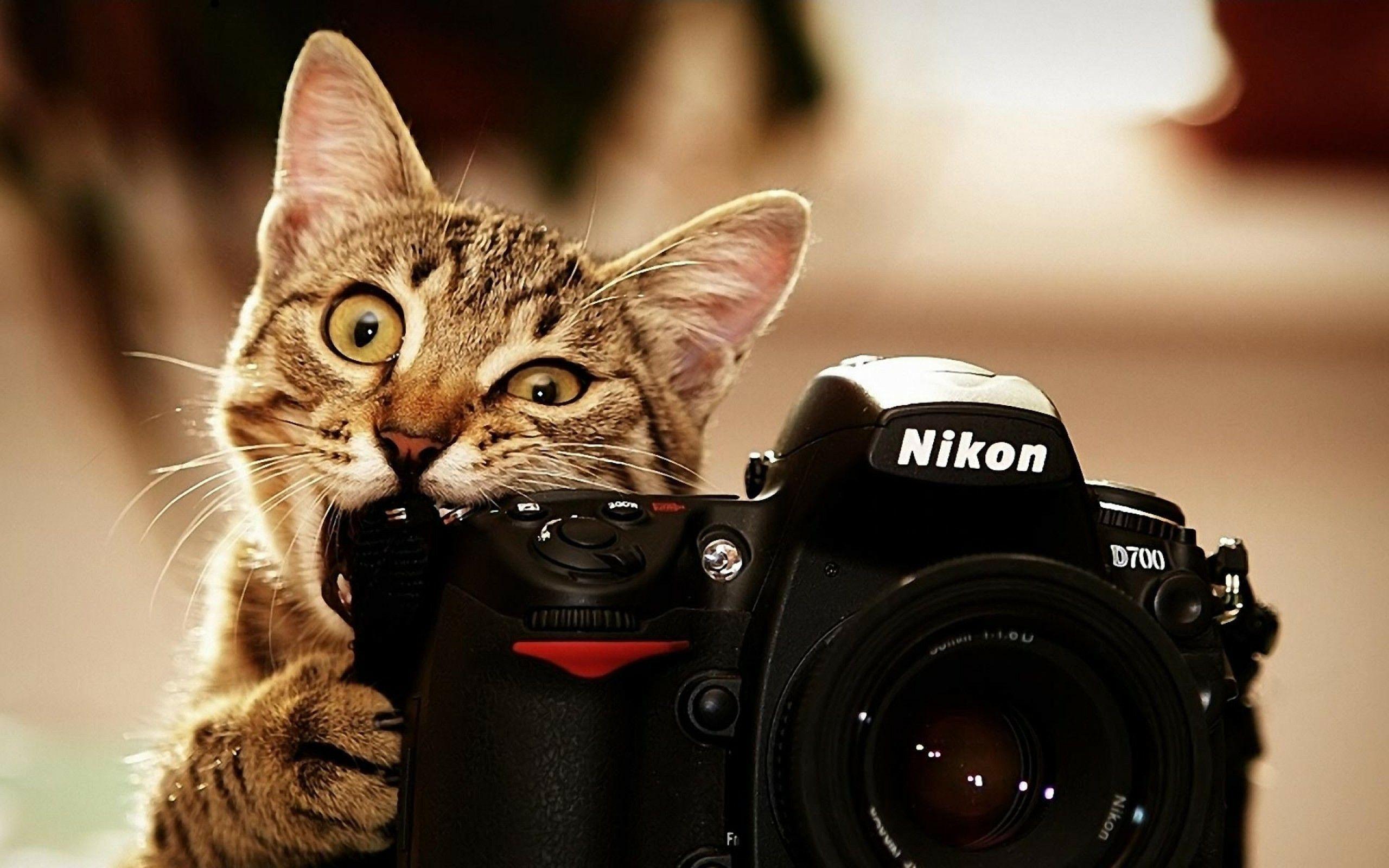 2560x1600 Photography Style HD Wallpaper