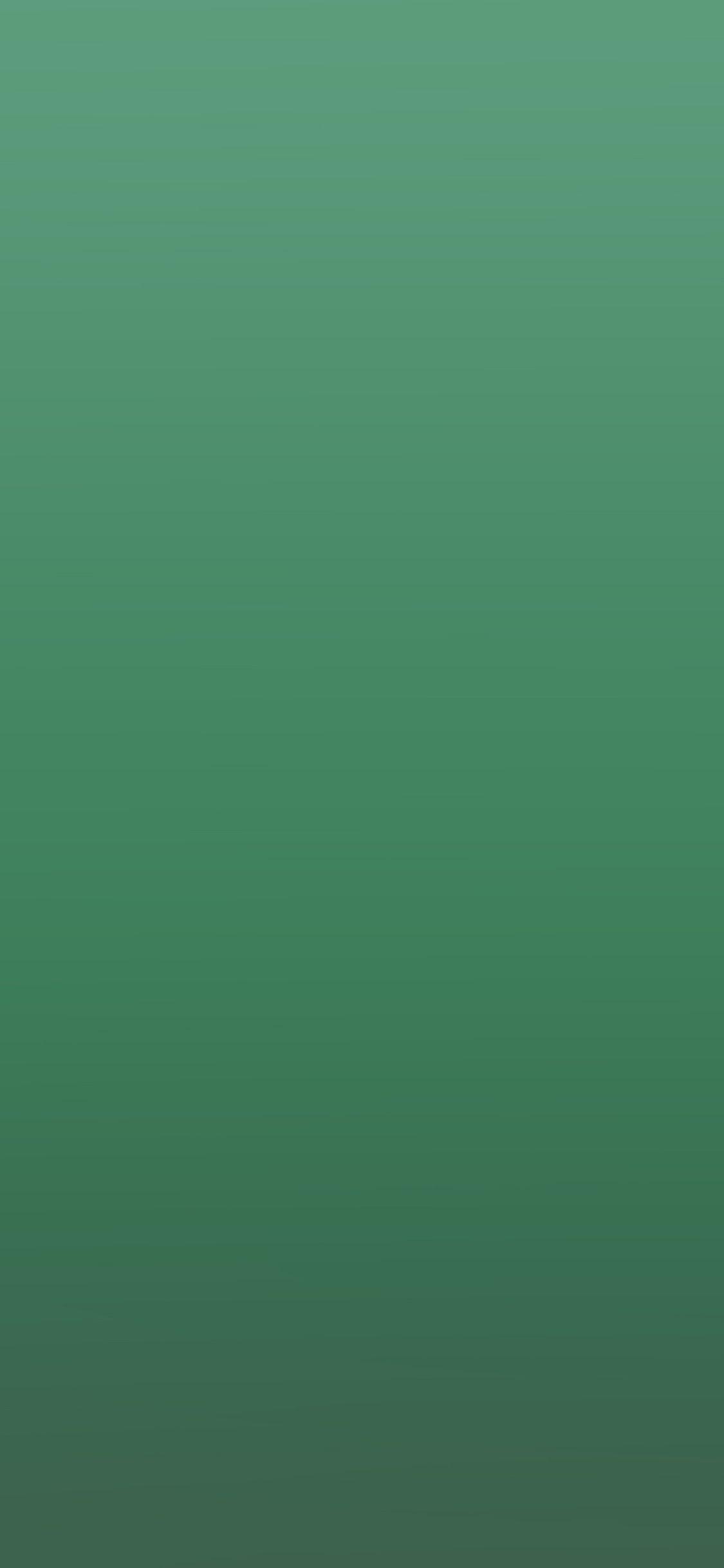 Midnight Green iPhone Wallpapers Top Free Midnight Green iPhone