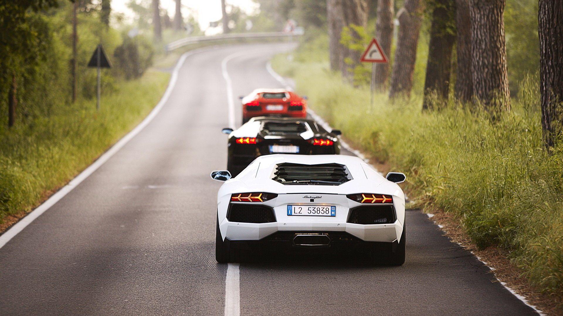 1920x1080 Wallpaper lamborghini aventador, road, tree, lamborghini, lamborghini aventador lp 700- sports car desktop wallpaper Cars