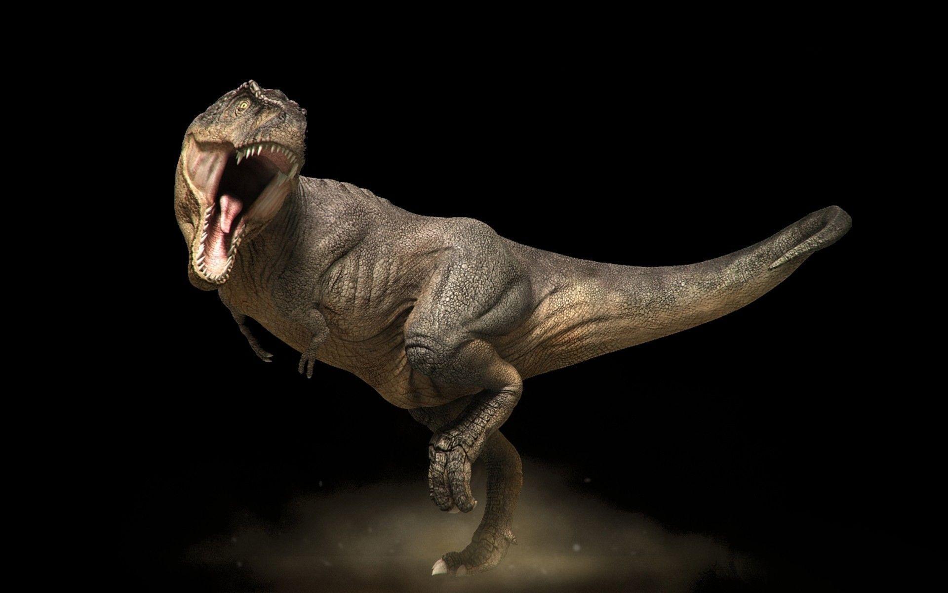 1920x1200 Dinosaur Wallpaper and Photo, Photo and Picture