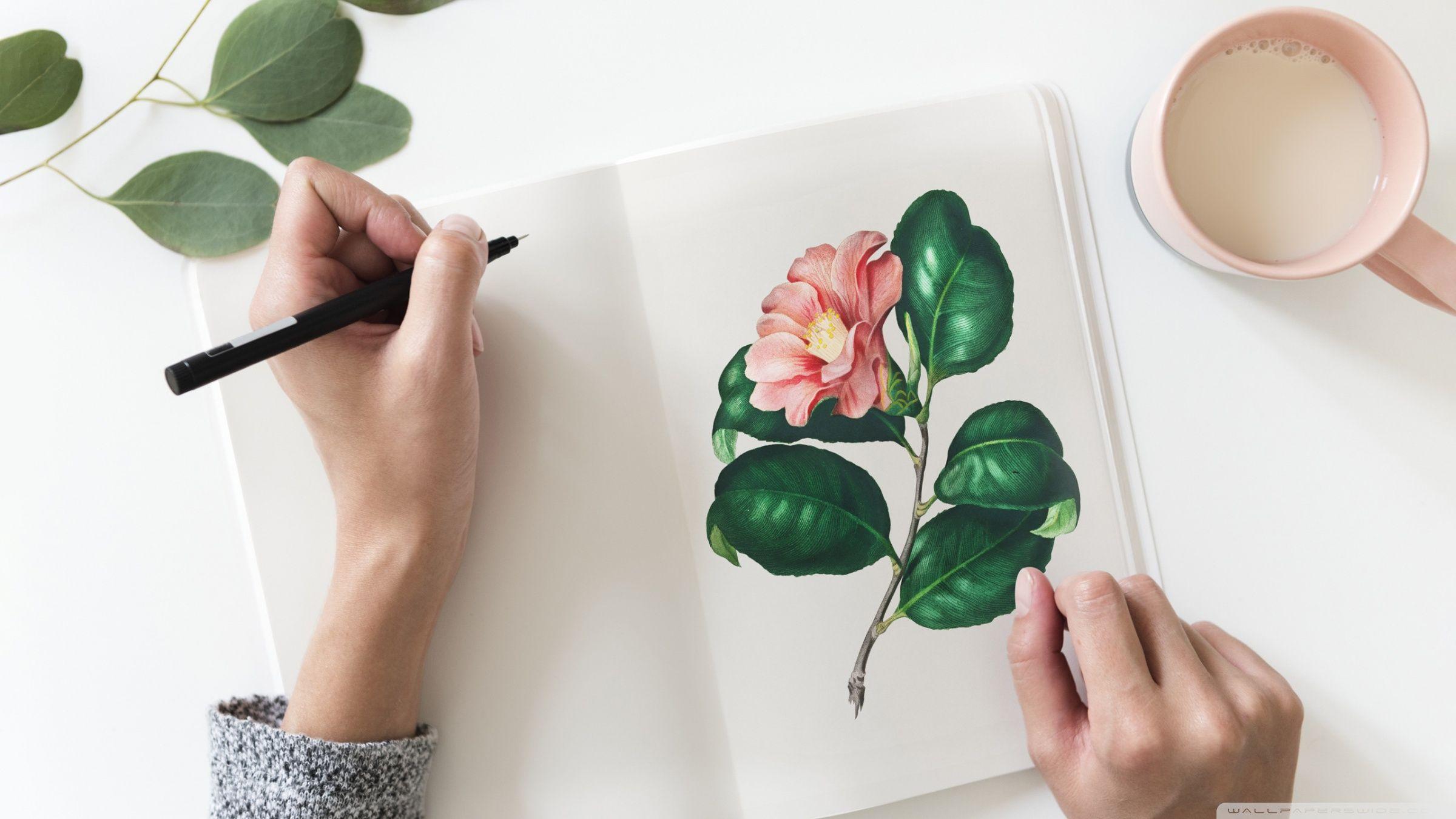 2400x1350 Realistic Flower Drawing Ultra HD Desktop Background Wallpaper for 4K UHD TV : Widescreen & UltraWide Desktop & Laptop : Tablet