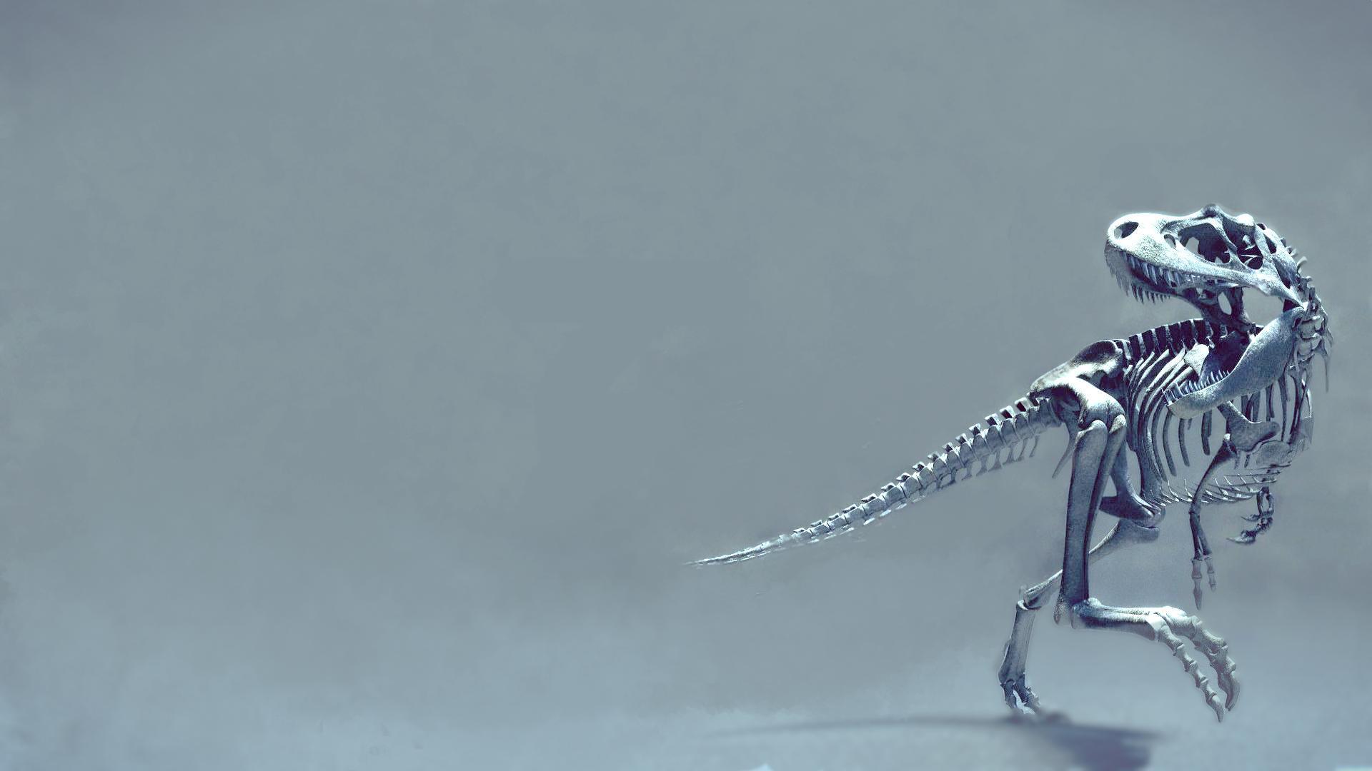 1920x1080 Dinosaur Wallpaper