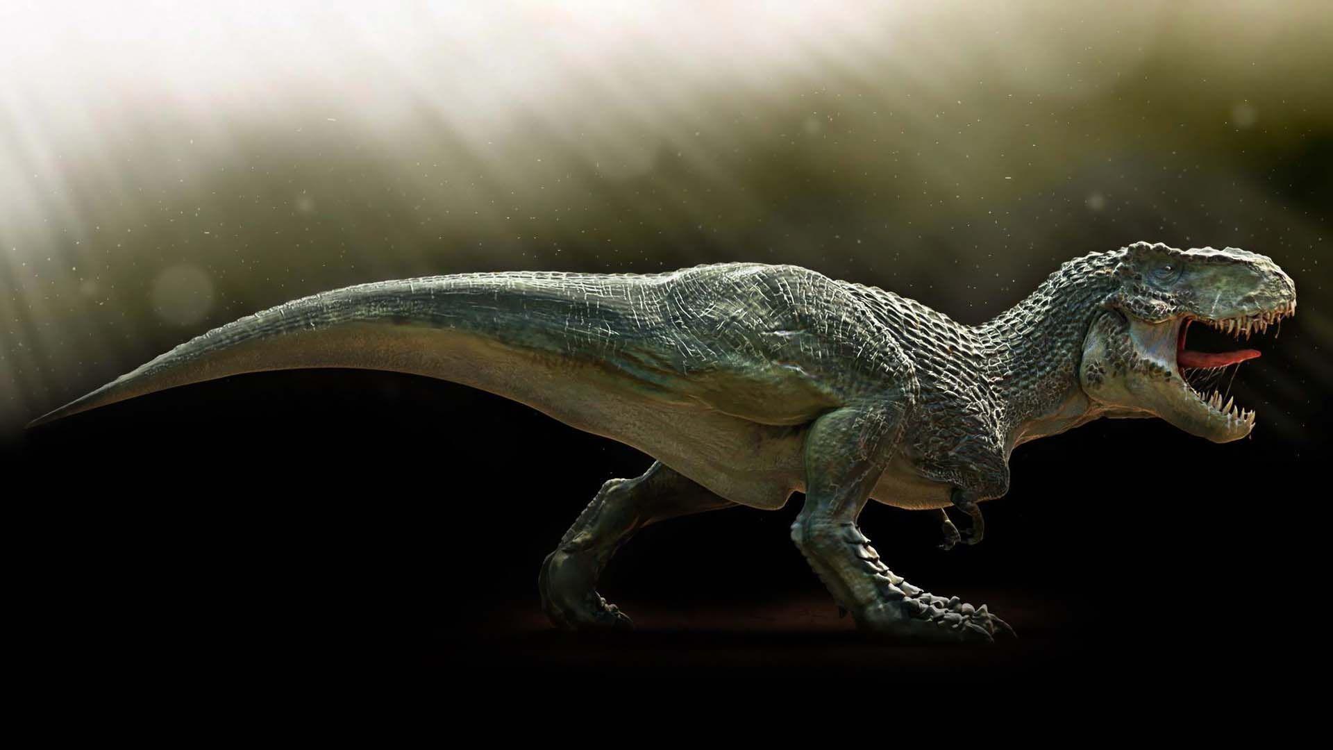 1920x1080 Amazing Dinosaur Wallpaper. HD Animals and Birds Wallpaper