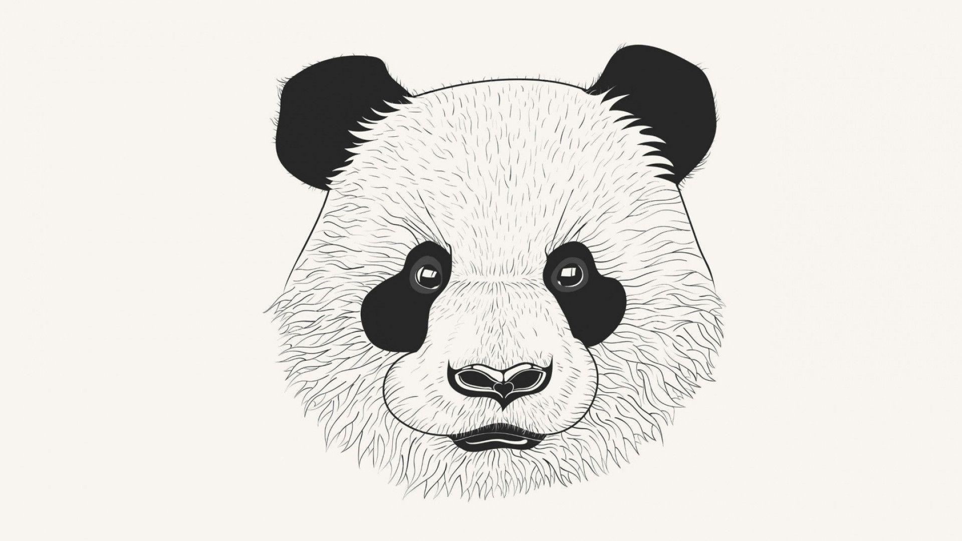 1920x1080 Panda Wallpaper
