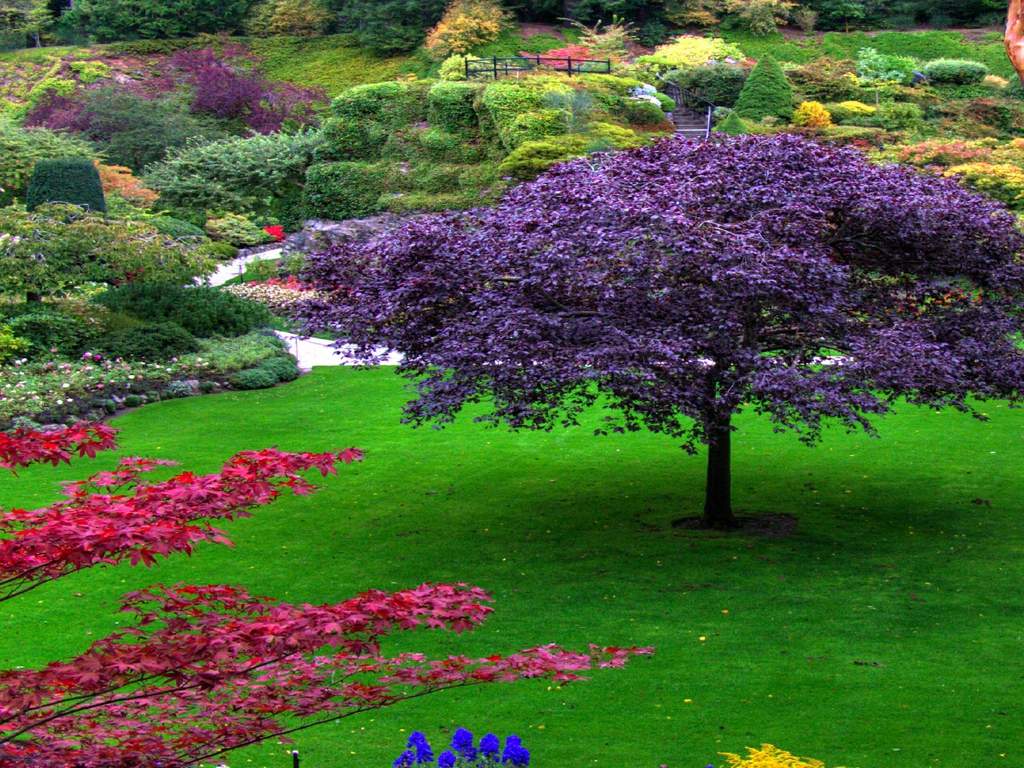 1024x768 Garden Wallpaper
