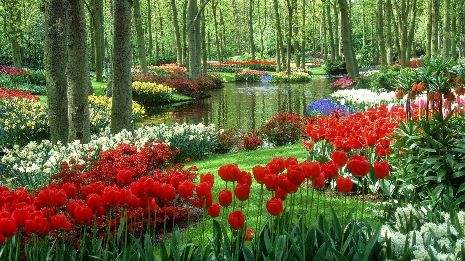 1600x900 3D Garden Wallpaper