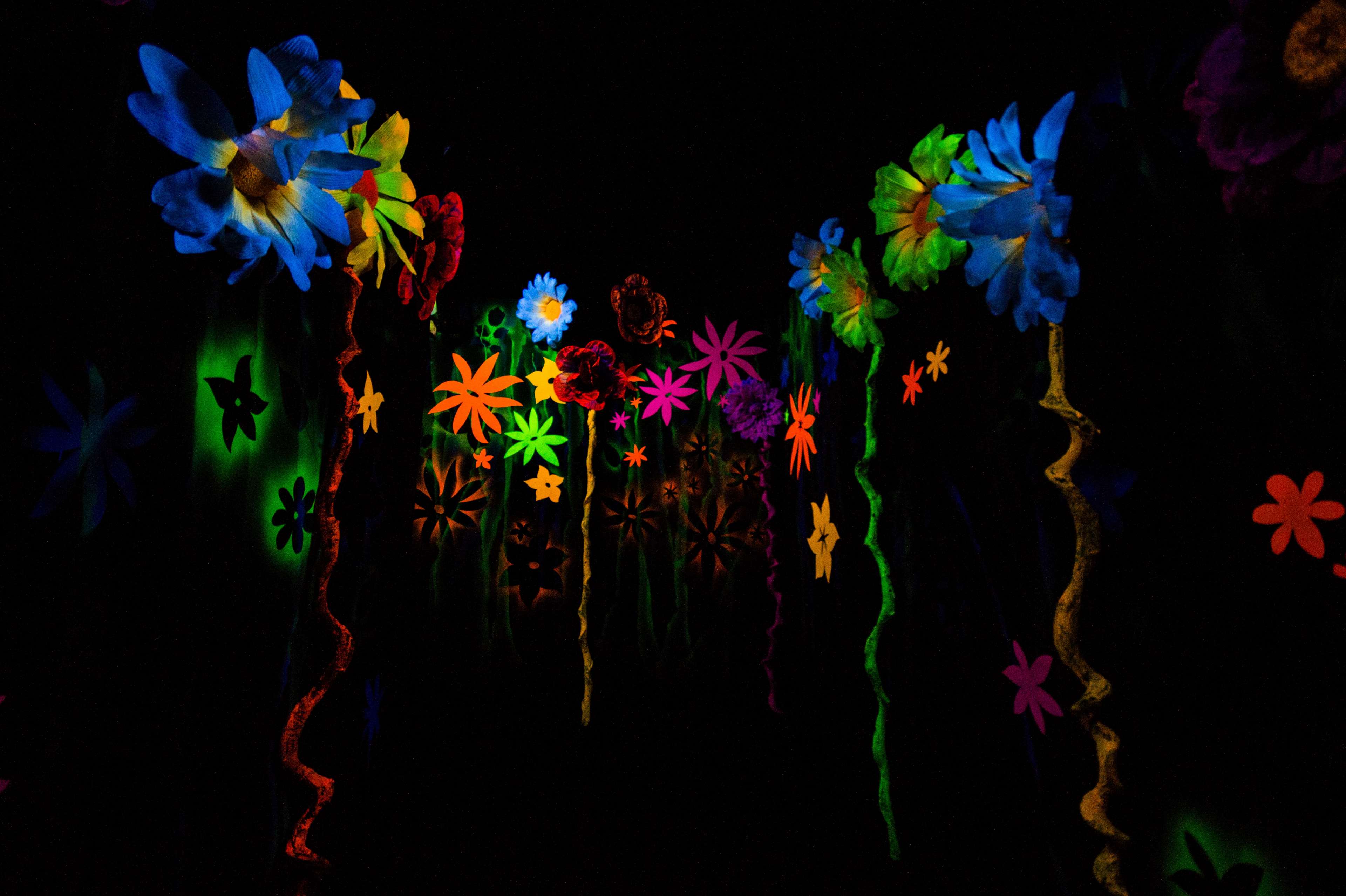 3840x2556 art, colorful, colourful, creative, dark, flowers 4k wallpaper. Mocah.org HD Desktop Wallpaper