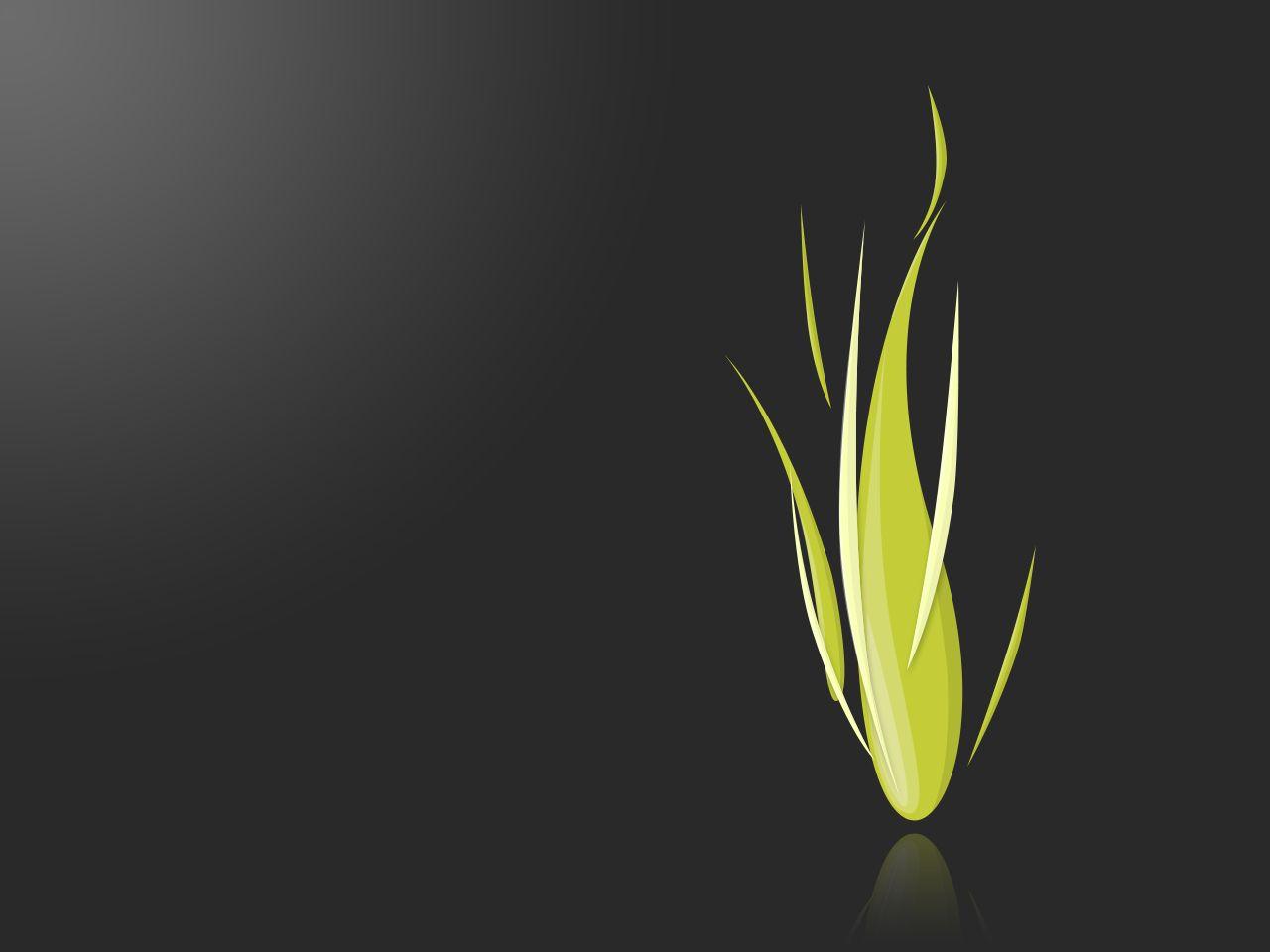 Gray and Green Wallpapers Top Free Gray and Green Backgrounds