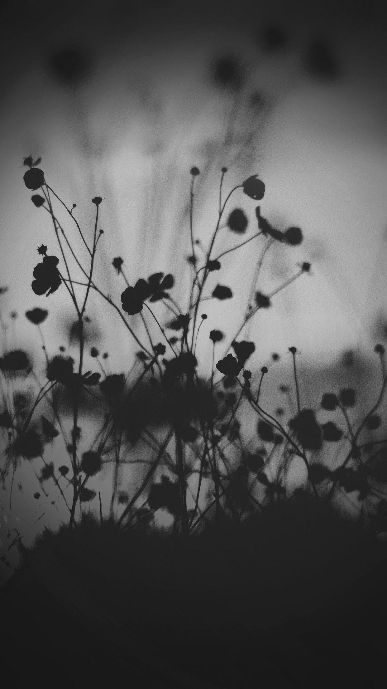 1242x2208 Black Flowers Wallpaper