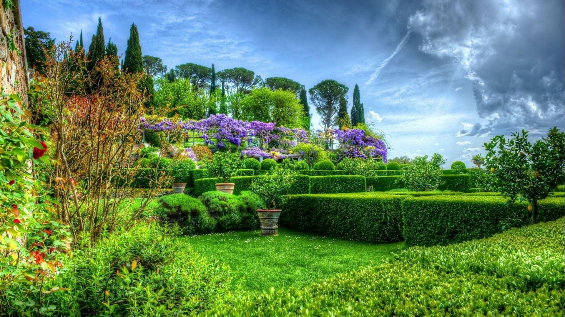 1920x1080 Green Garden Wallpaper