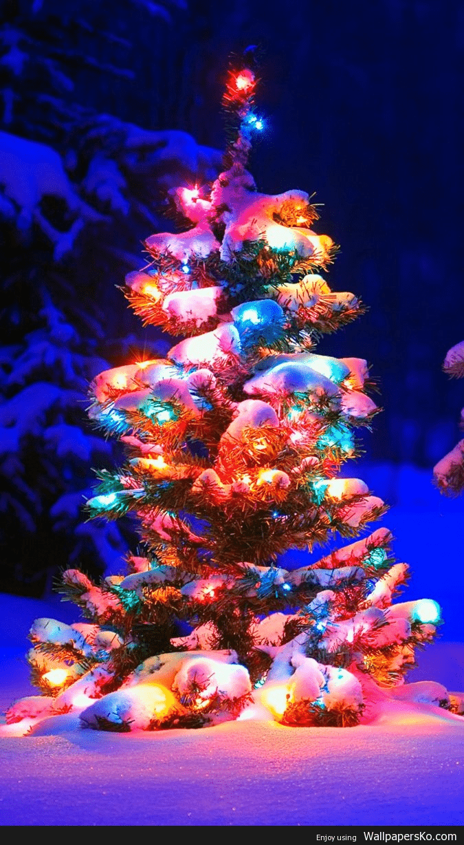 675x1228 Christmas Wallpaper for iPhone Christmas Background. Christmas phone wallpaper, Wallpaper iphone christmas, Christmas wallpaper
