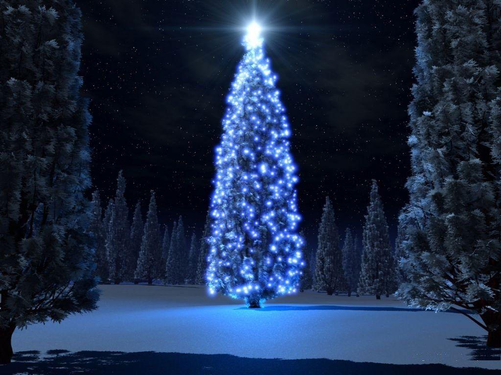 1024x768 Free Wallpaper for Desktop: Christmas tree lights in the woods
