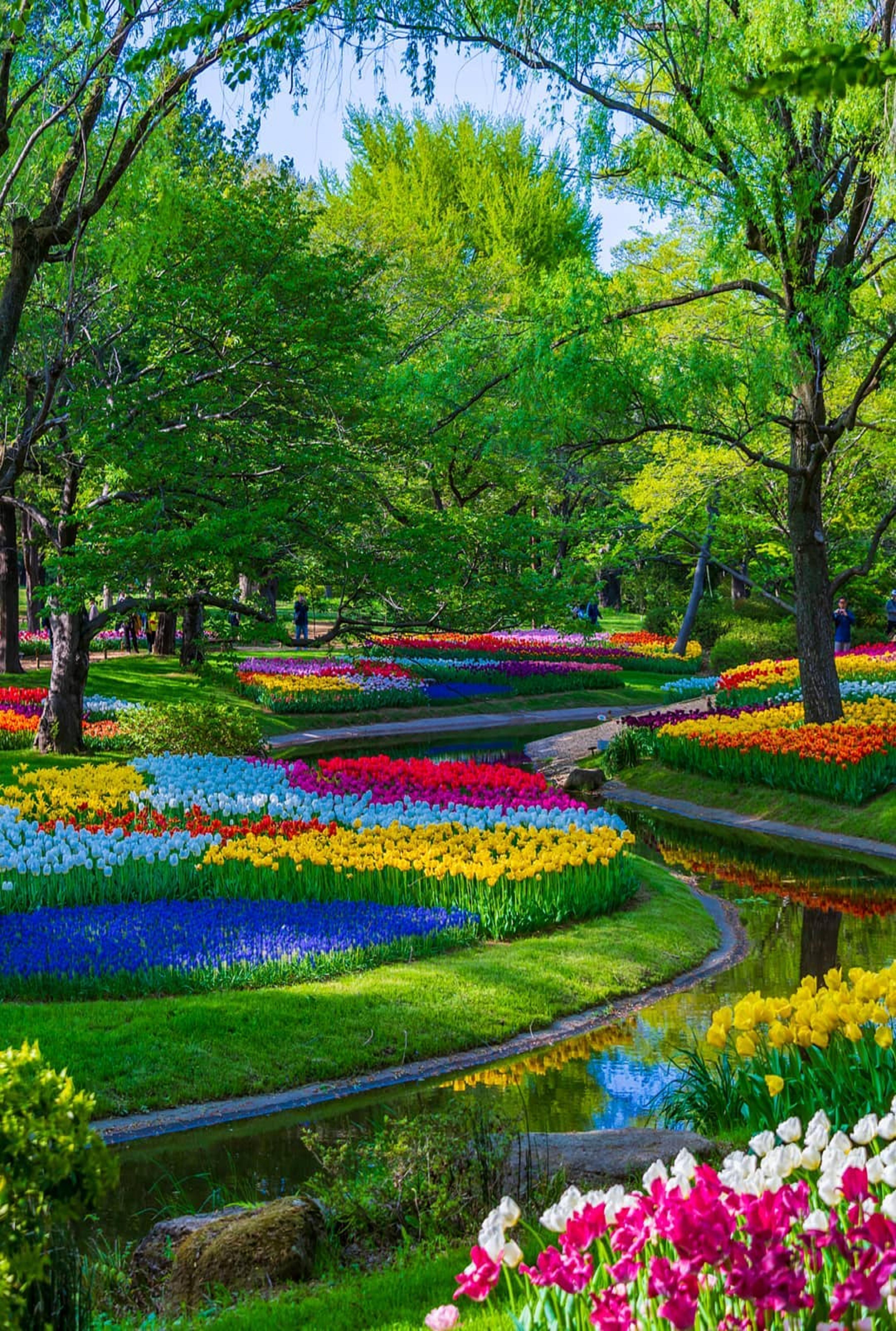 4320x6412 Jardim. Most beautiful gardens, Beautiful gardens, Beautiful flowers garden