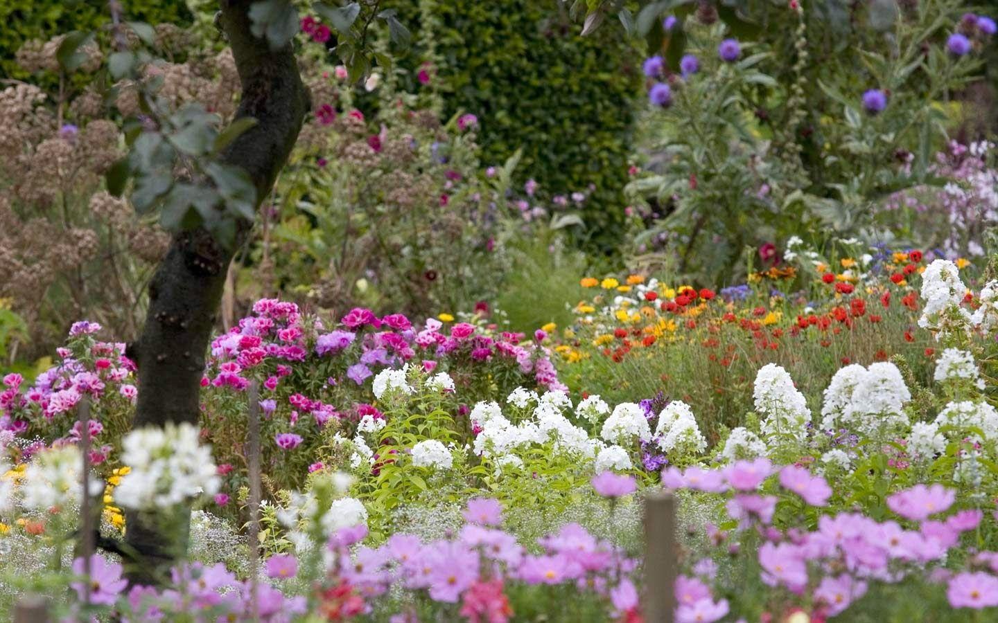 1440x900 Beautiful Flowers Wallpaper: Amazing Garden Flowers Wallpaper