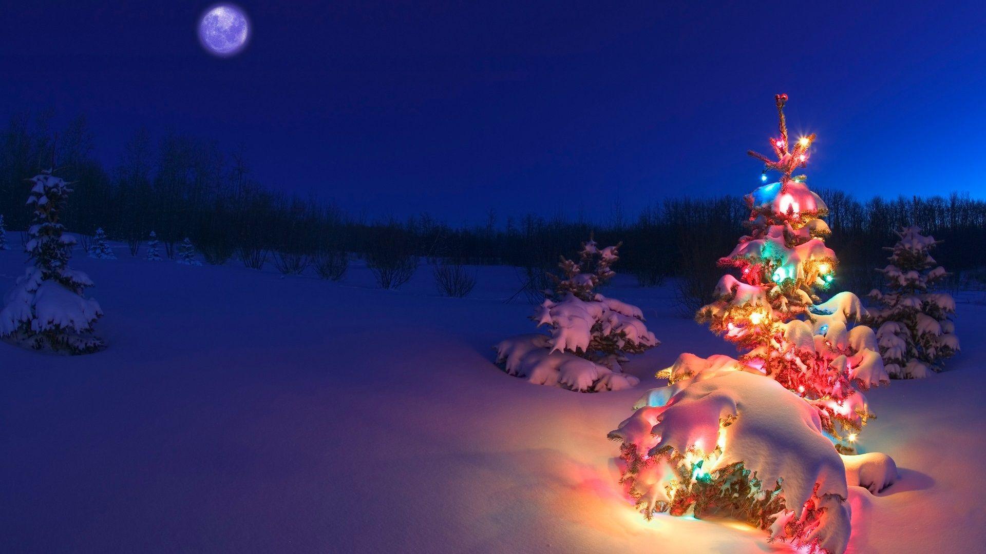 1920x1080 Wallpaper Beautiful Christmas tree, lights, snow, night 1920x1080 Full HD 2K Picture, Image