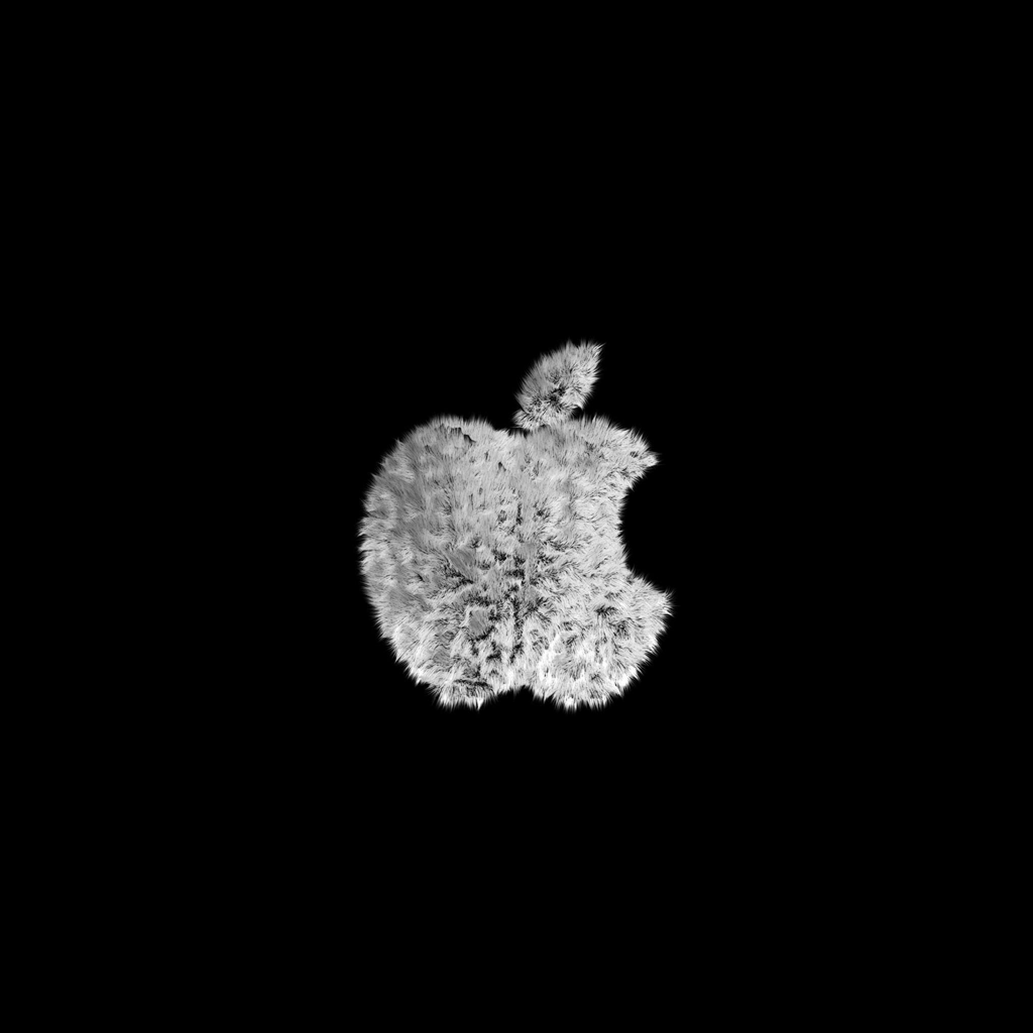 2048x2048 Computers Shaggy White Apple Logo iPhone HD Wallpaper Free