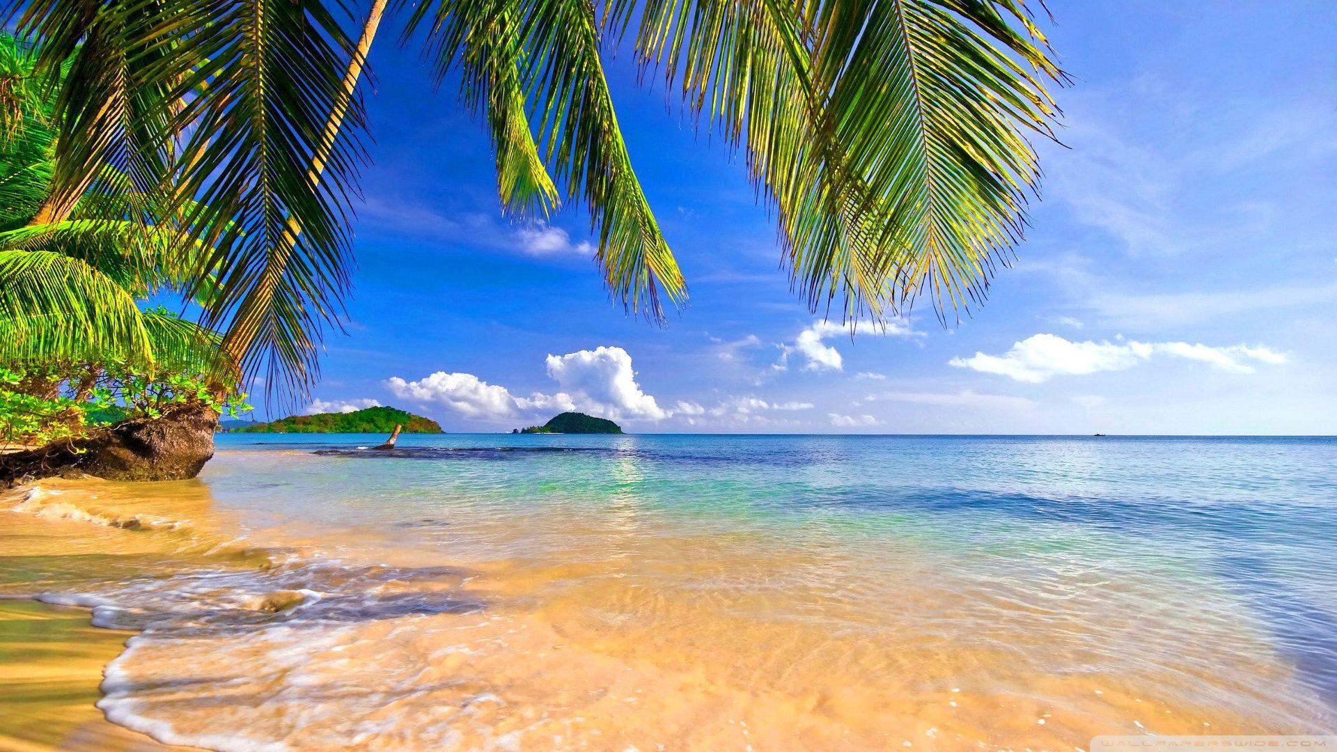 Tropical Beach Wallpapers Top Free Tropical Beach Backgrounds Tropical Beach Wallpapers Top Free Tropical Beach Backgrounds