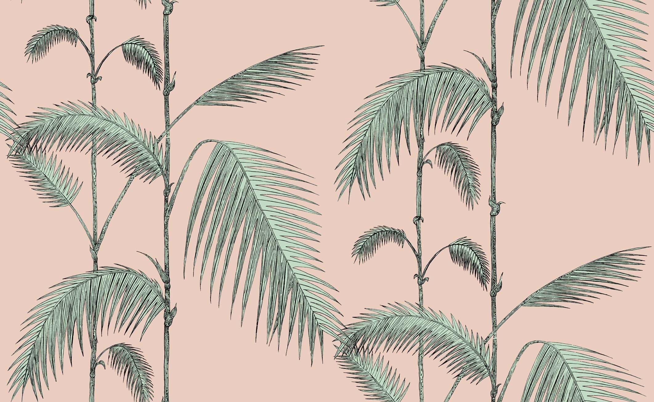 2124x1307 Palm Leaves Desktop Wallpaper
