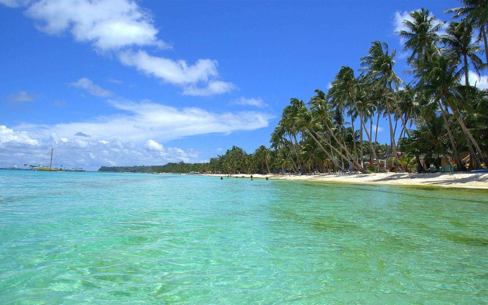 1600x1000 Tropical Wallpaper