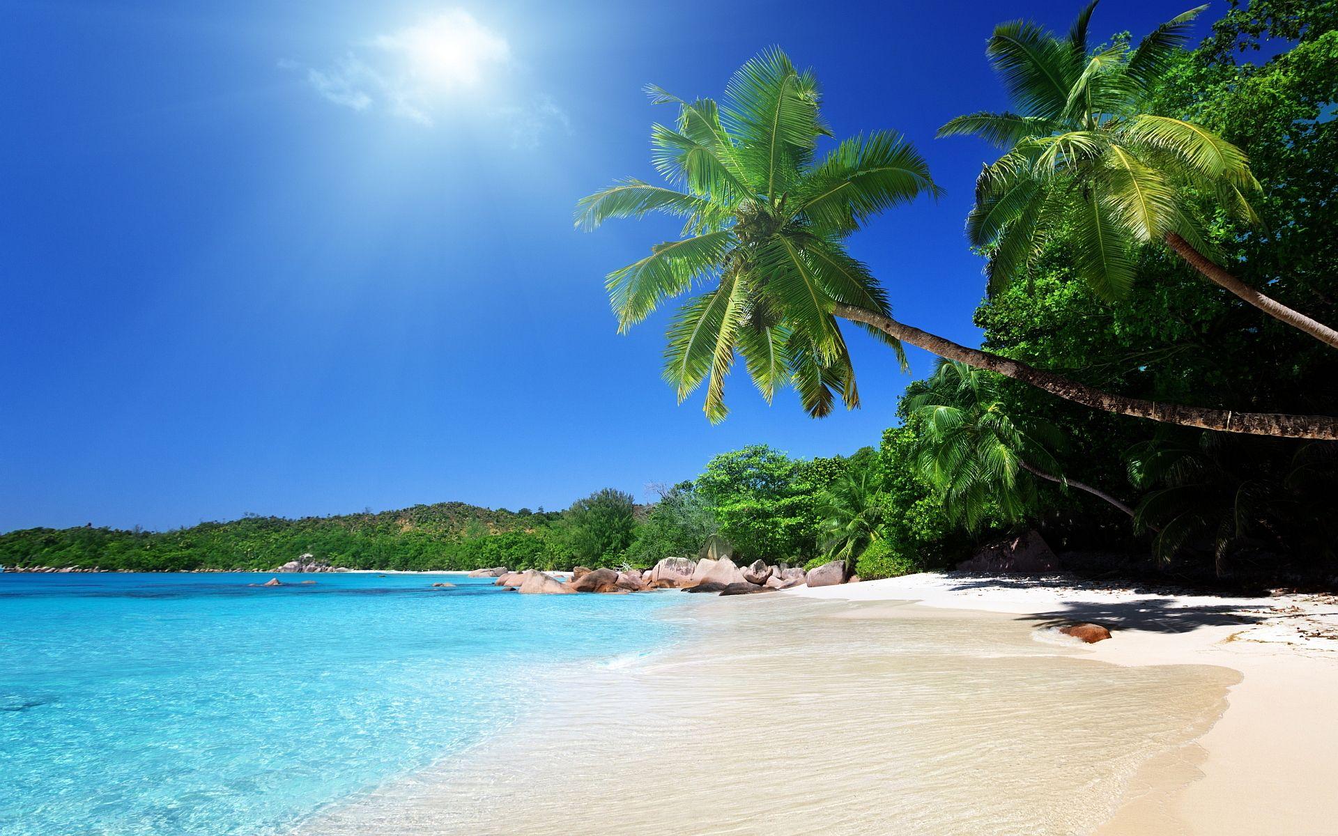 1920x1200 Tropical Beach Wallpaper