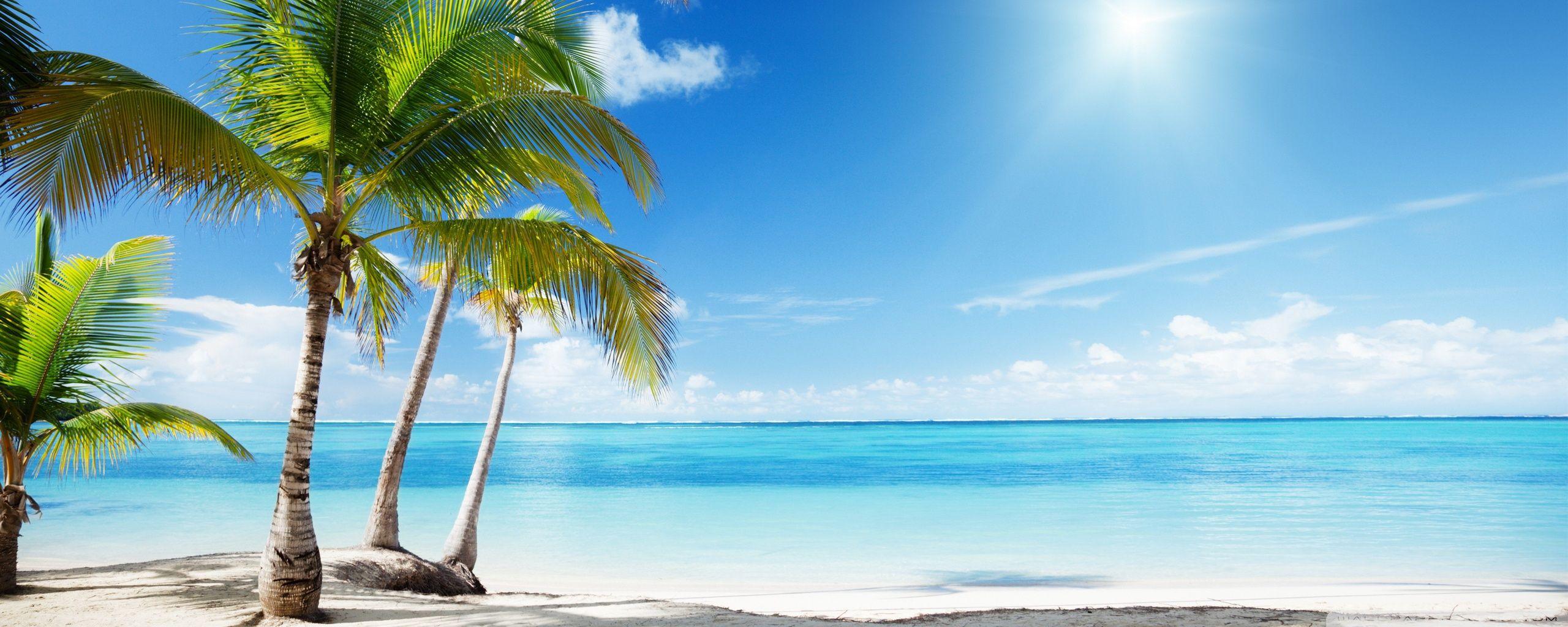 2560x1024 Download Tropical Beach Wallpaper wallpaper