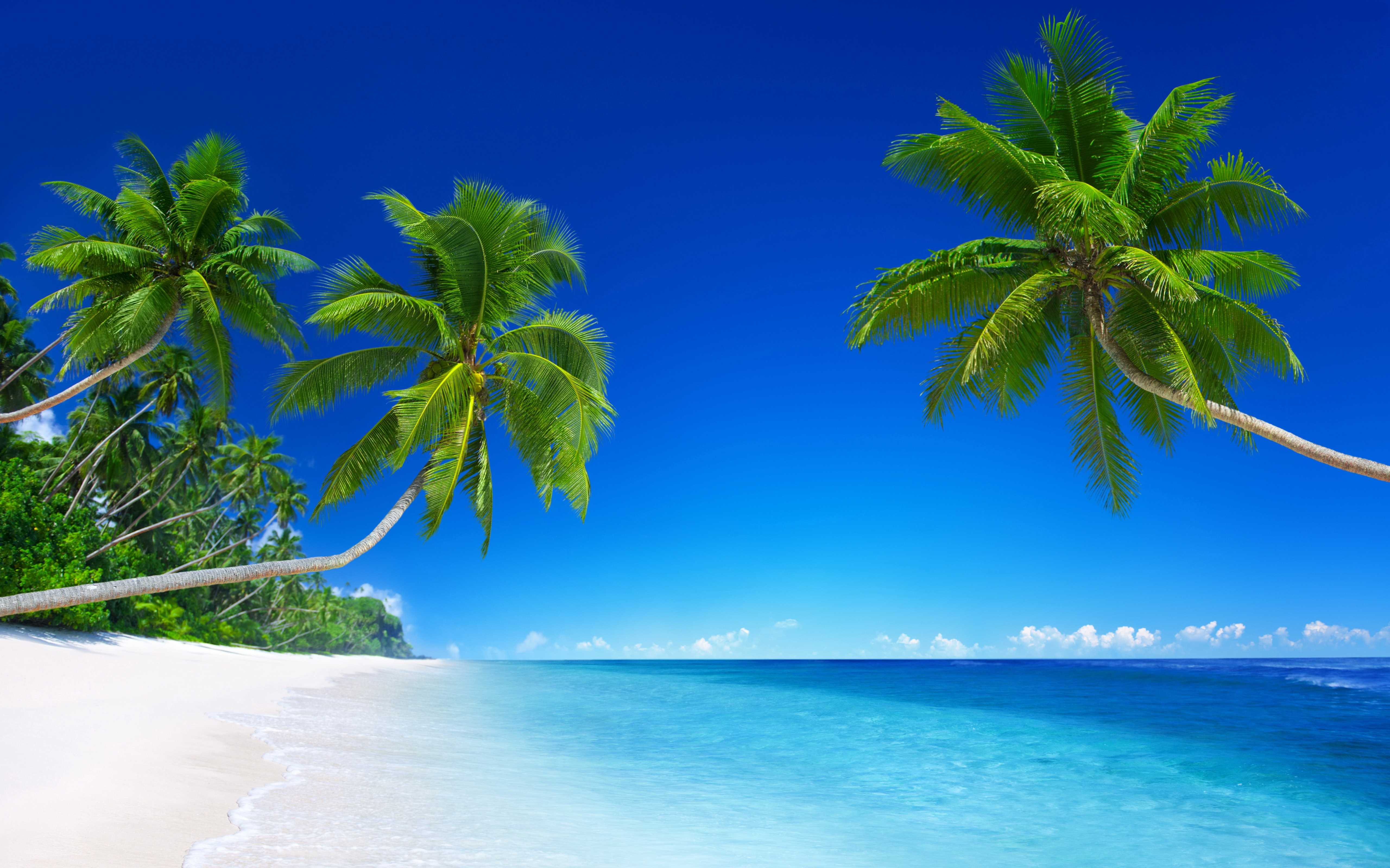 5120x3200 Tropical Beach Background Wallpaper High Resolution Background