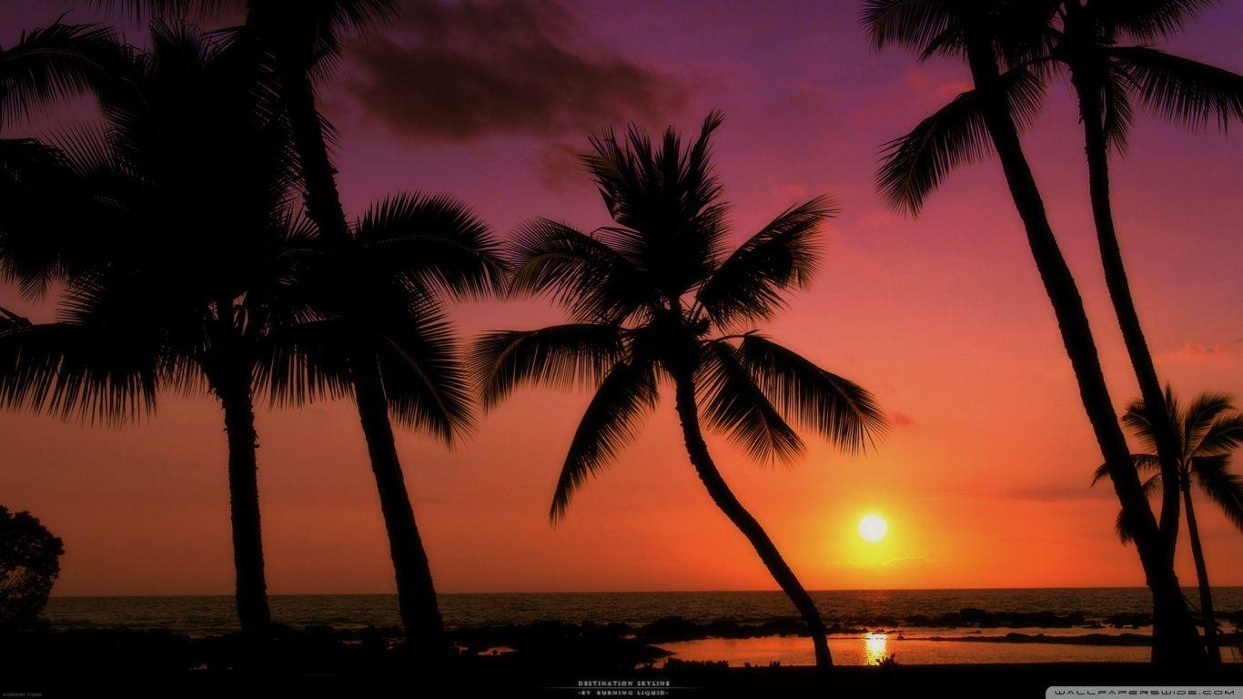 1366x768 Tropical Sunset ❤ 4K HD Desktop Wallpaper for 4K Ultra HD TV