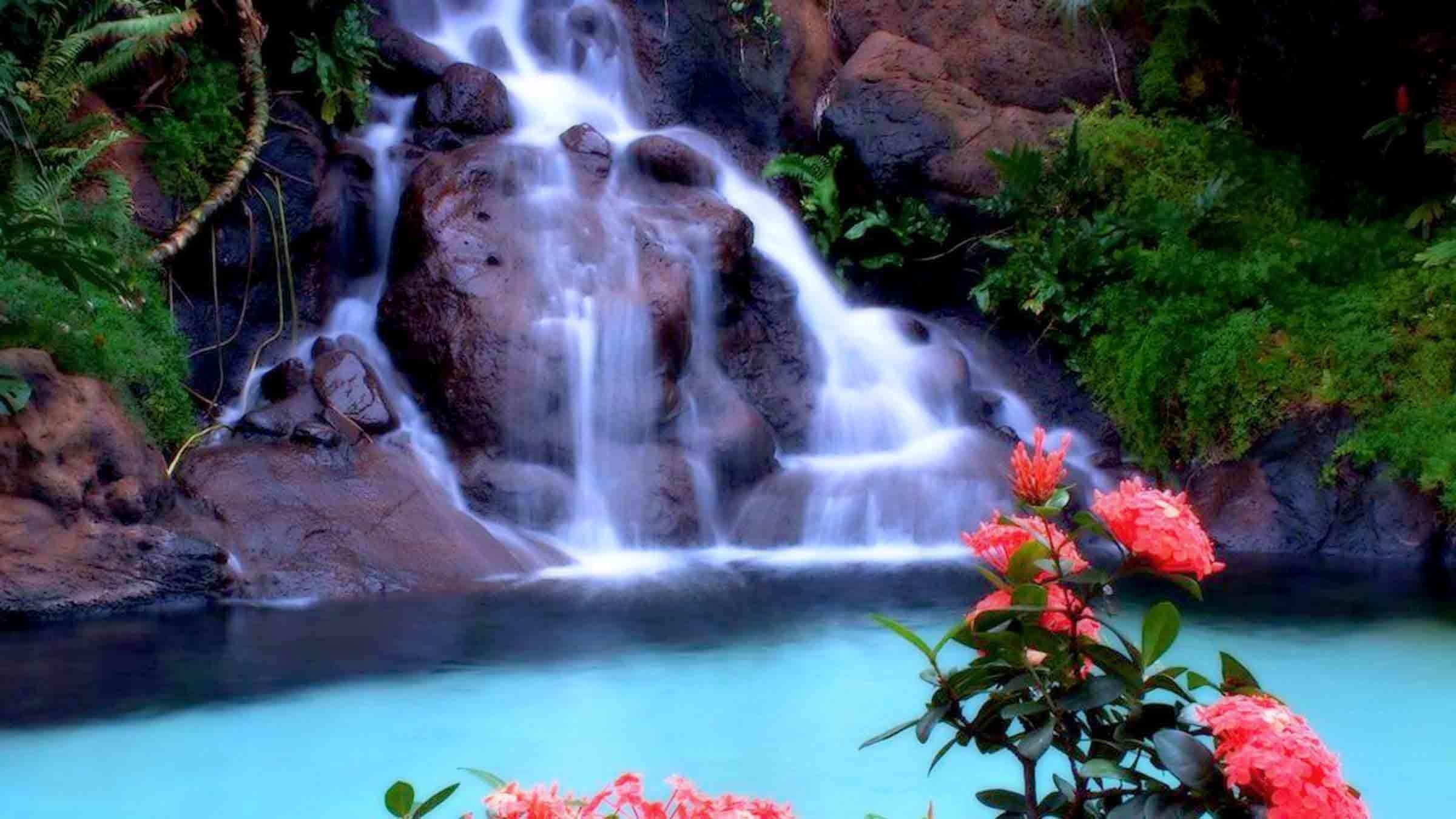 2400x1350 High Definition Tropical Wallpaper