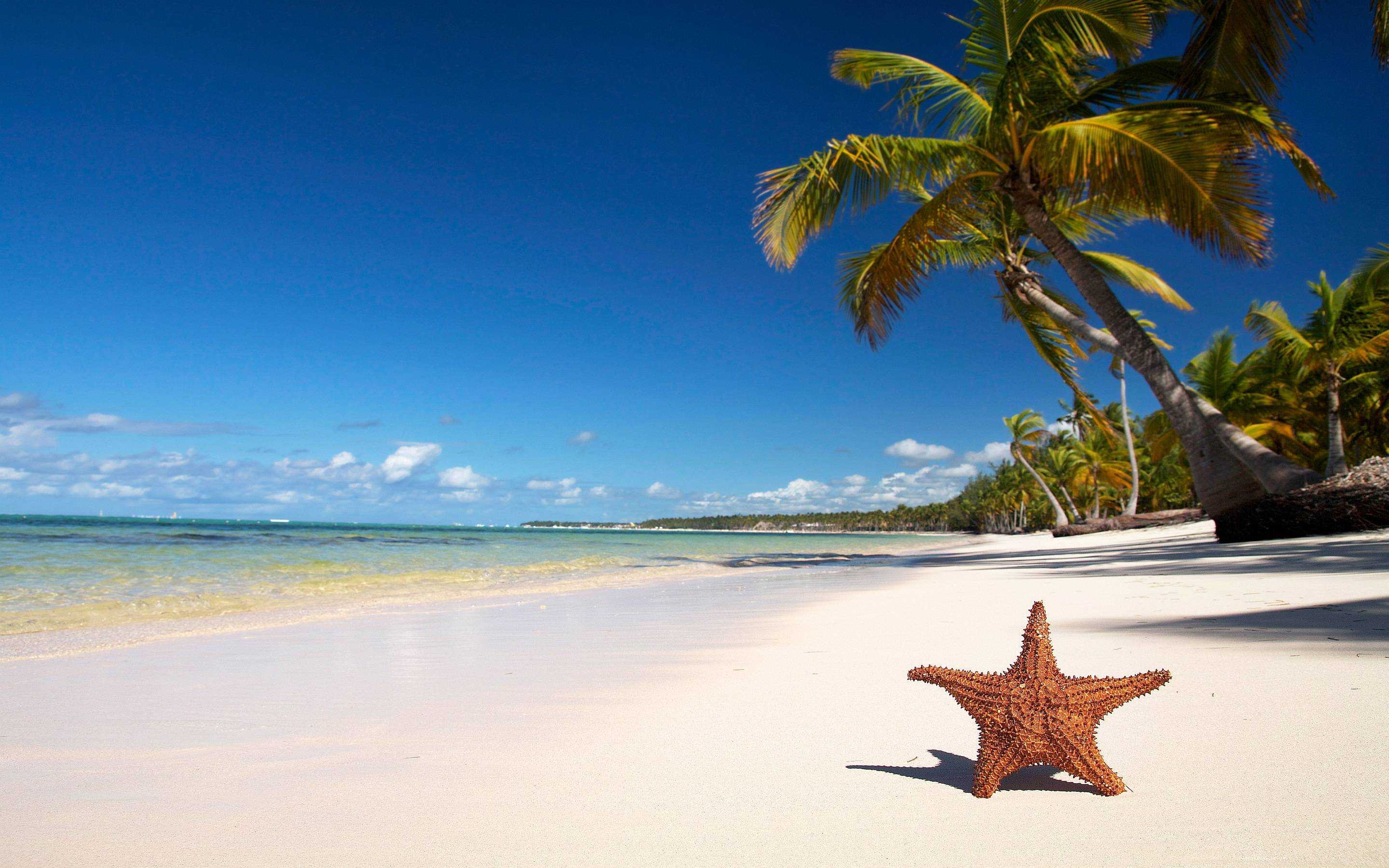 2880x1800 Full HD Of Tropical Beach Picture Wallpaper High Resolution Pc