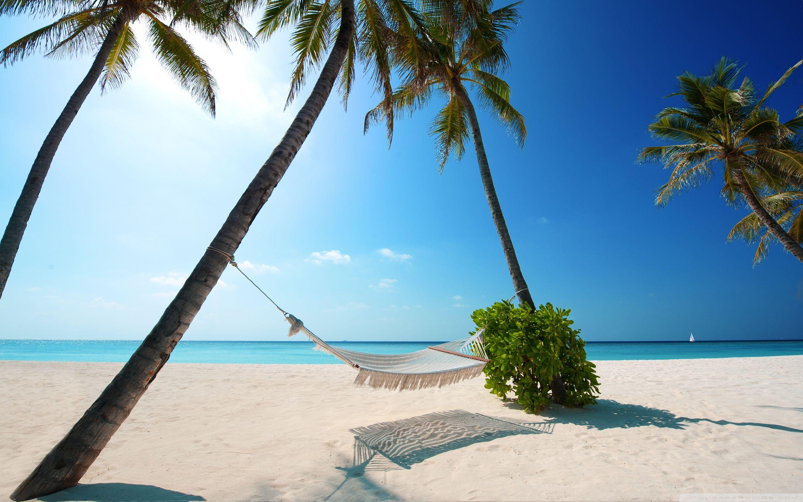 2560x1600 Hammock On Tropical Beach ❤ 4K HD Desktop Wallpaper for 4K Ultra HD
