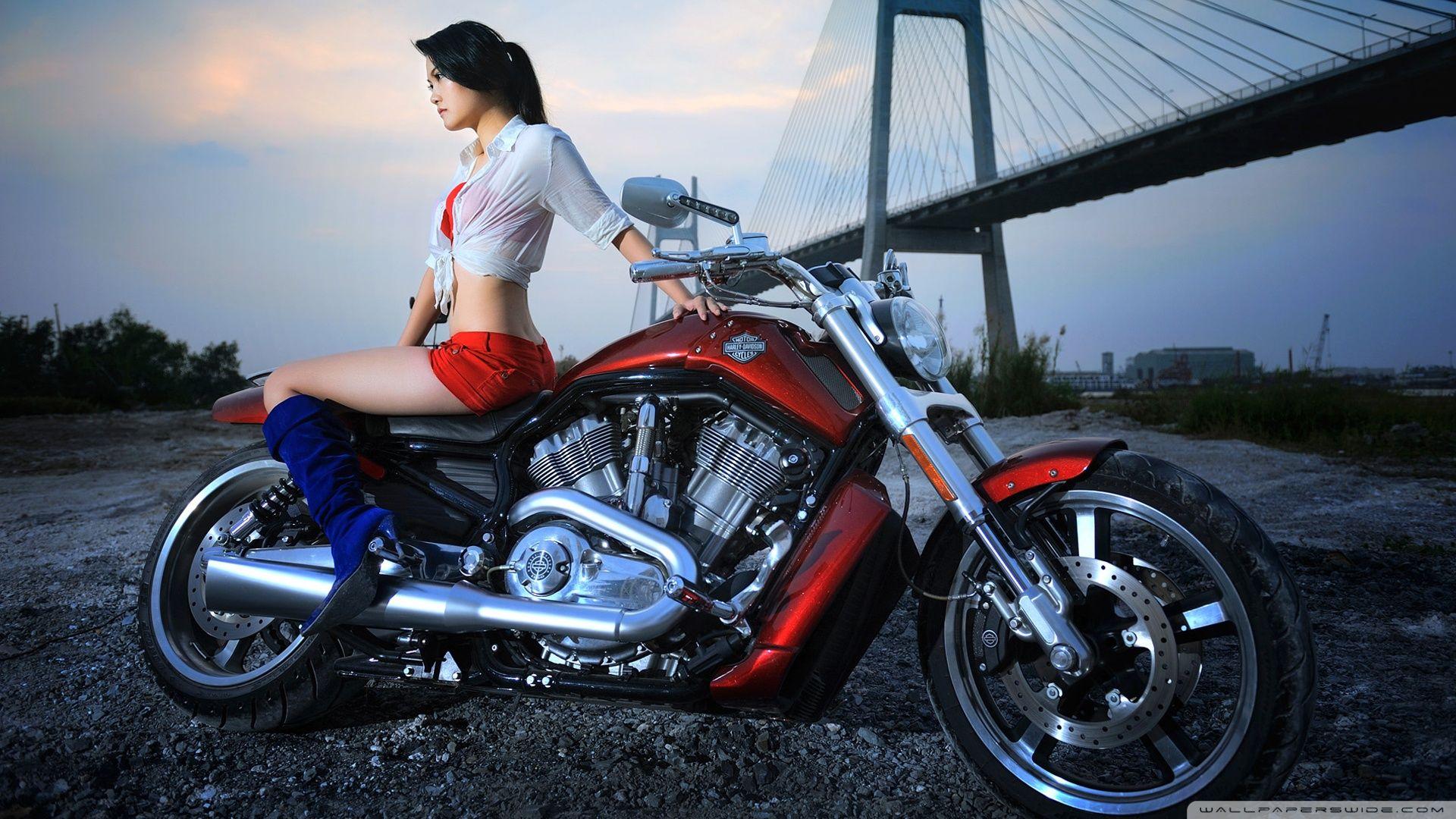 1920x1080 Free download Harley Davidson Wallpaper 1920x1080 Harley Davidson [1920x1080] for your Desktop, Mobile & Tablet. Explore Harley Davidson Wallpaper for iPad. Harley Davidson Logo Wallpaper, Harley Davidson Wallpaper and