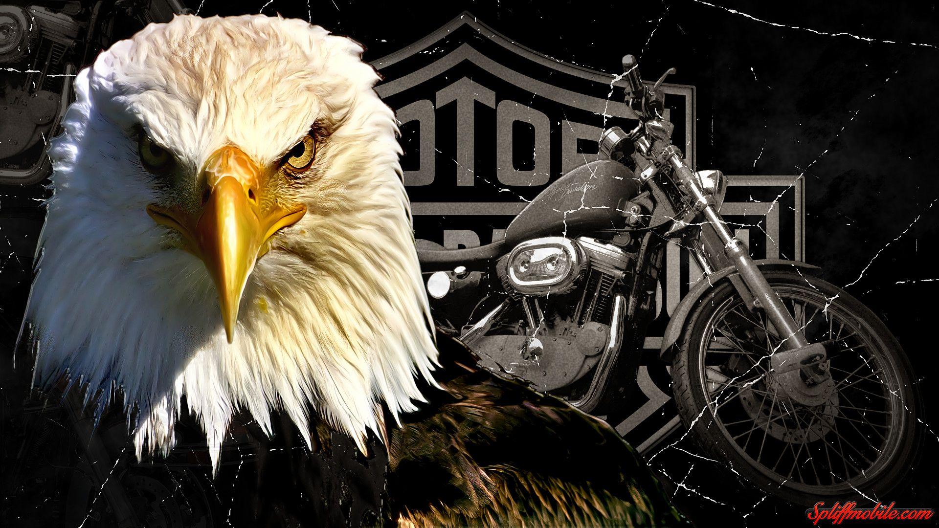 1920x1080 Hd Harley Davidson Wallpaper Src Harley Davidson Painting Harley Davidson HD Wallpaper