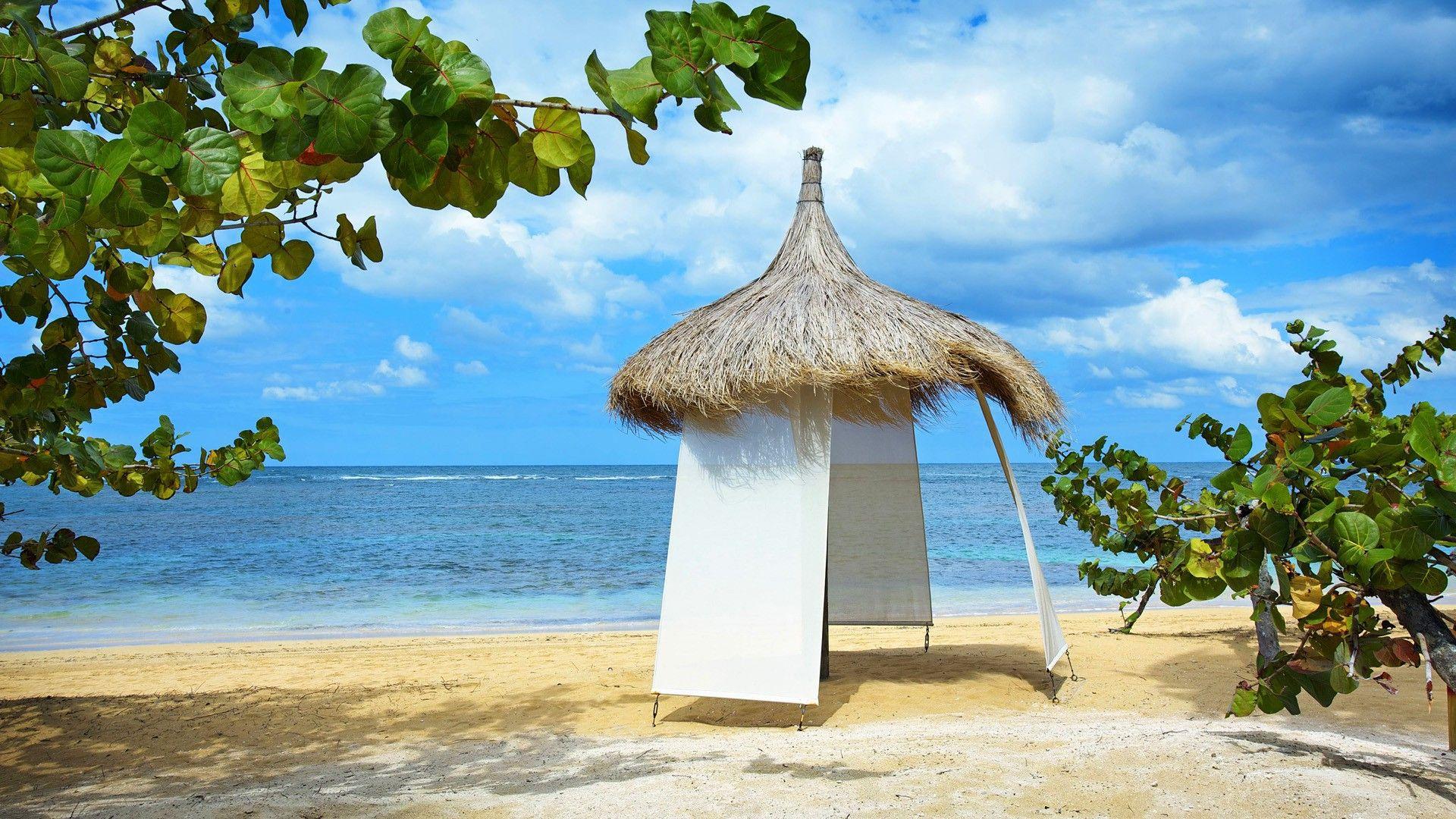 1920x1080 Beaches Nature Beach Tropical Trees Oceans Wallpaper High Resolution