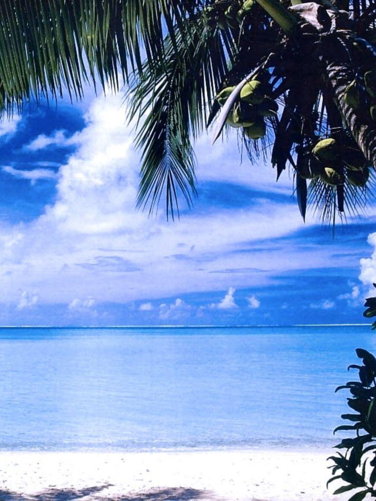 768x1024 Free download Landscape Wallpaper Tropical Water Wallpaper [1600x1200] for your Desktop, Mobile & Tablet. Explore Tropical Water Wallpaper. Free Tropical Desktop Wallpaper, Tropical Beach Wallpaper, Tropical Background Wallpaper