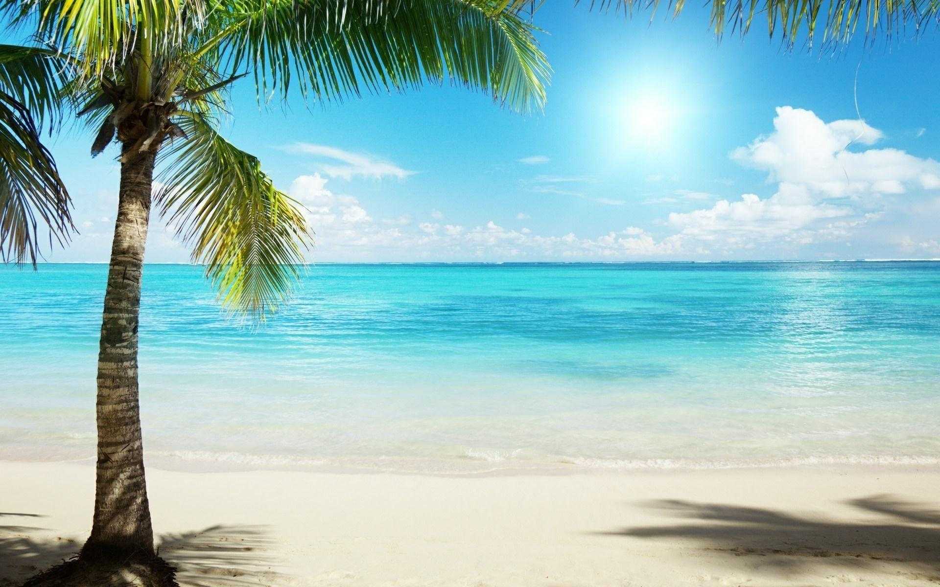 1920x1200 Tropical Beach Background Wallpaper Widescreen Of Laptop High