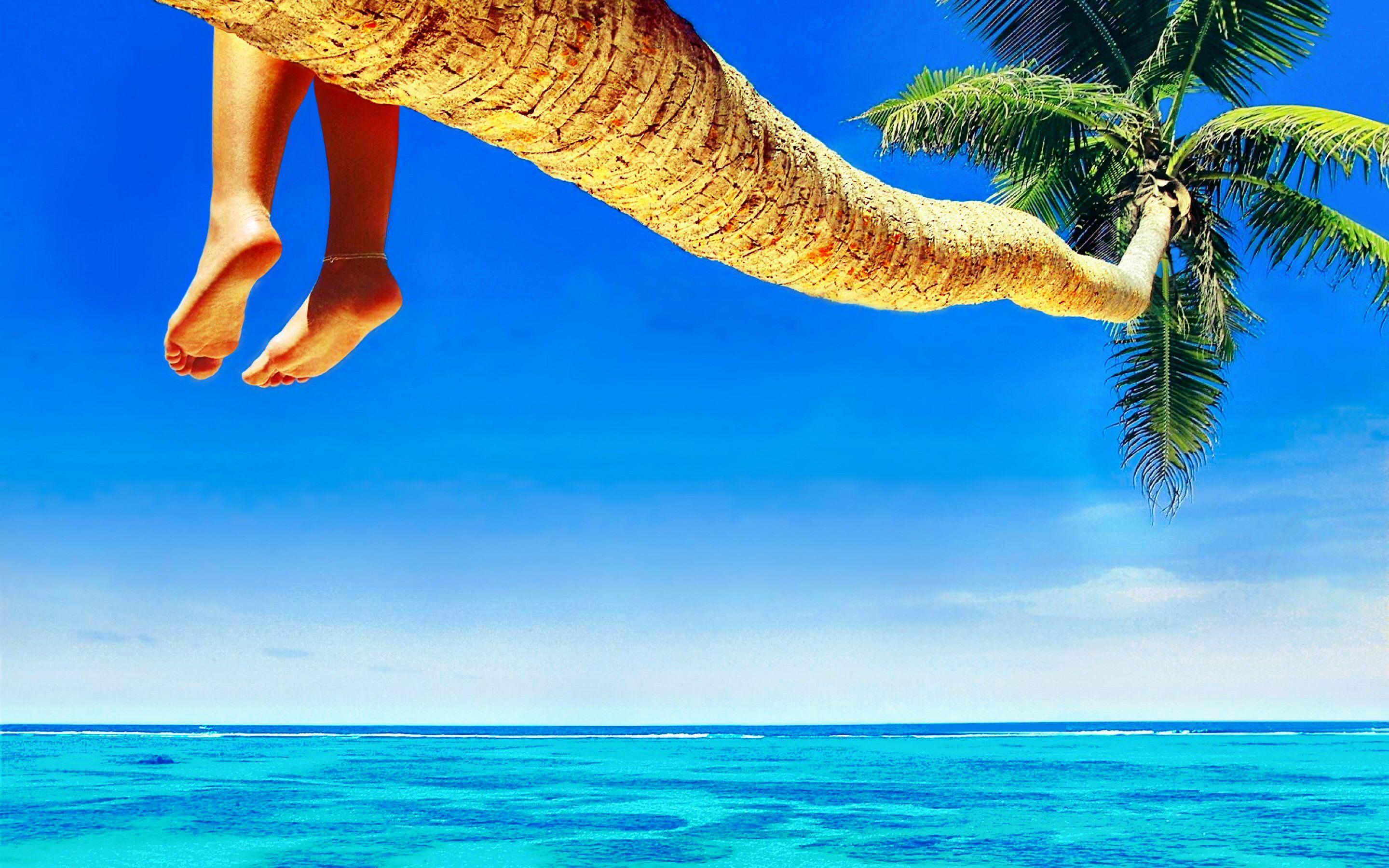 2880x1800 TROPICAL [02] turquoise horizon [14march2013thursday] [VersionOne
