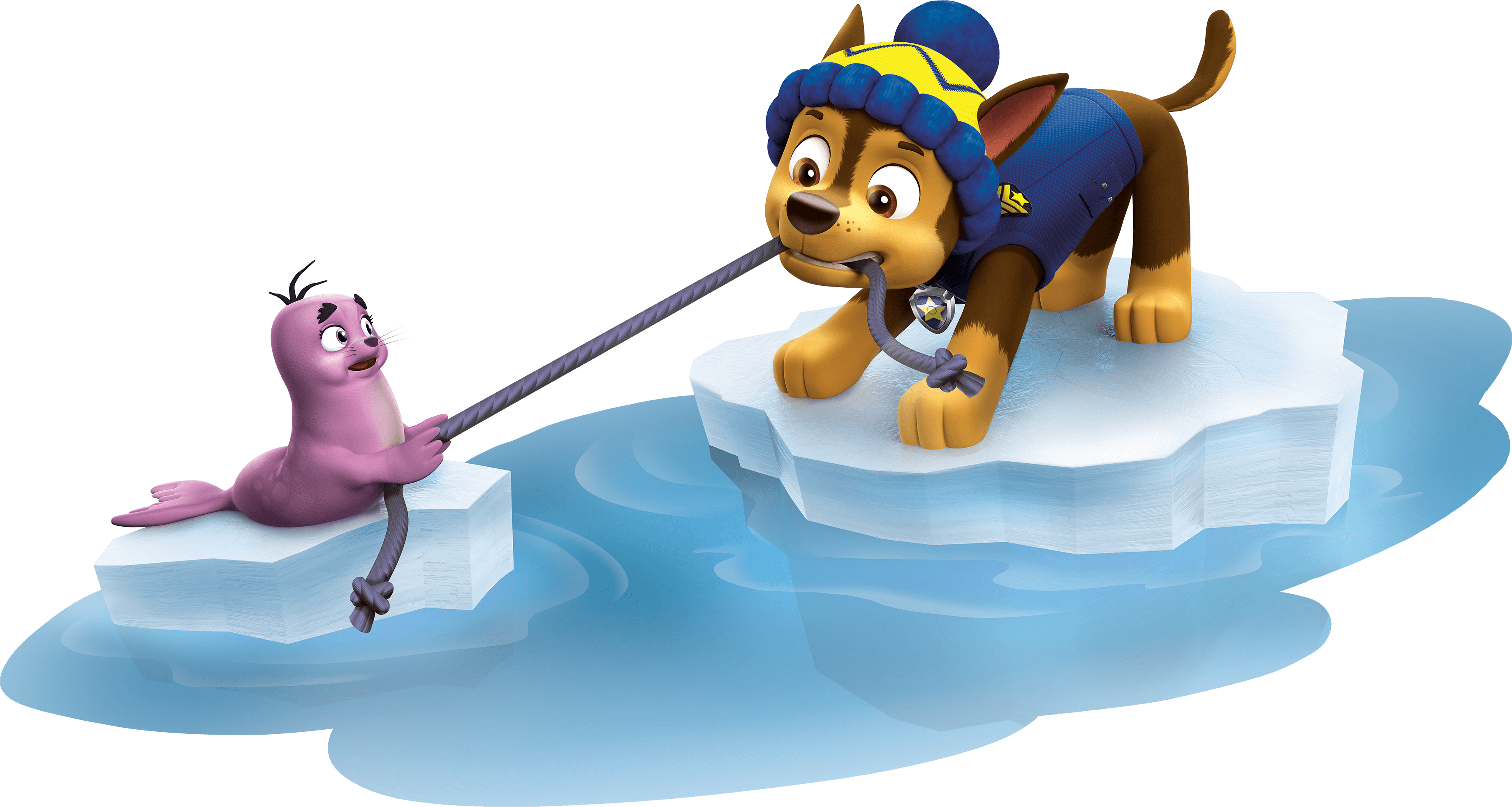 winter dog paw patrol