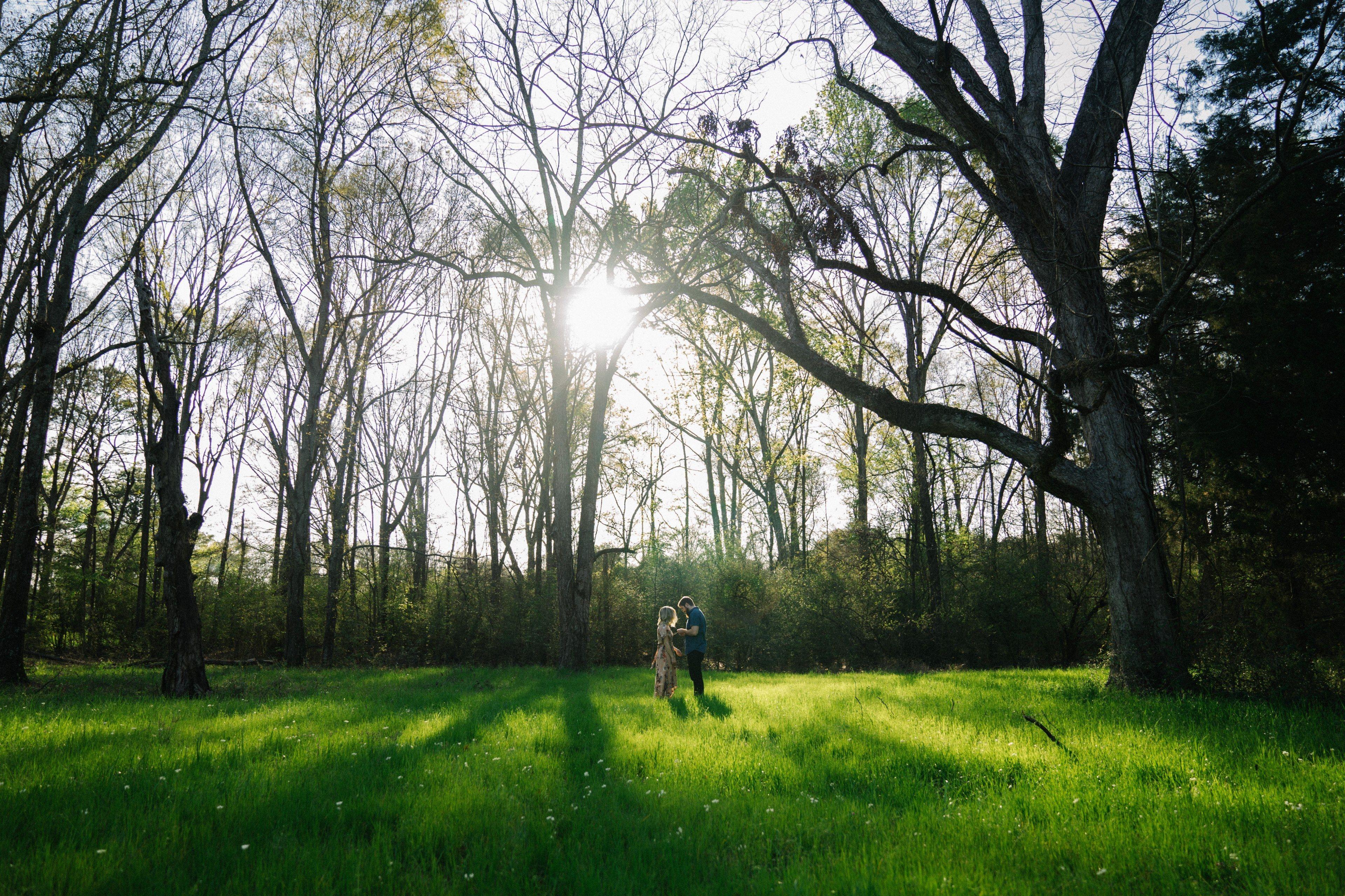 3840x2560 a couple stands on the grass among trees leaning against one anothertogether among the trees 4k wallpaper and background