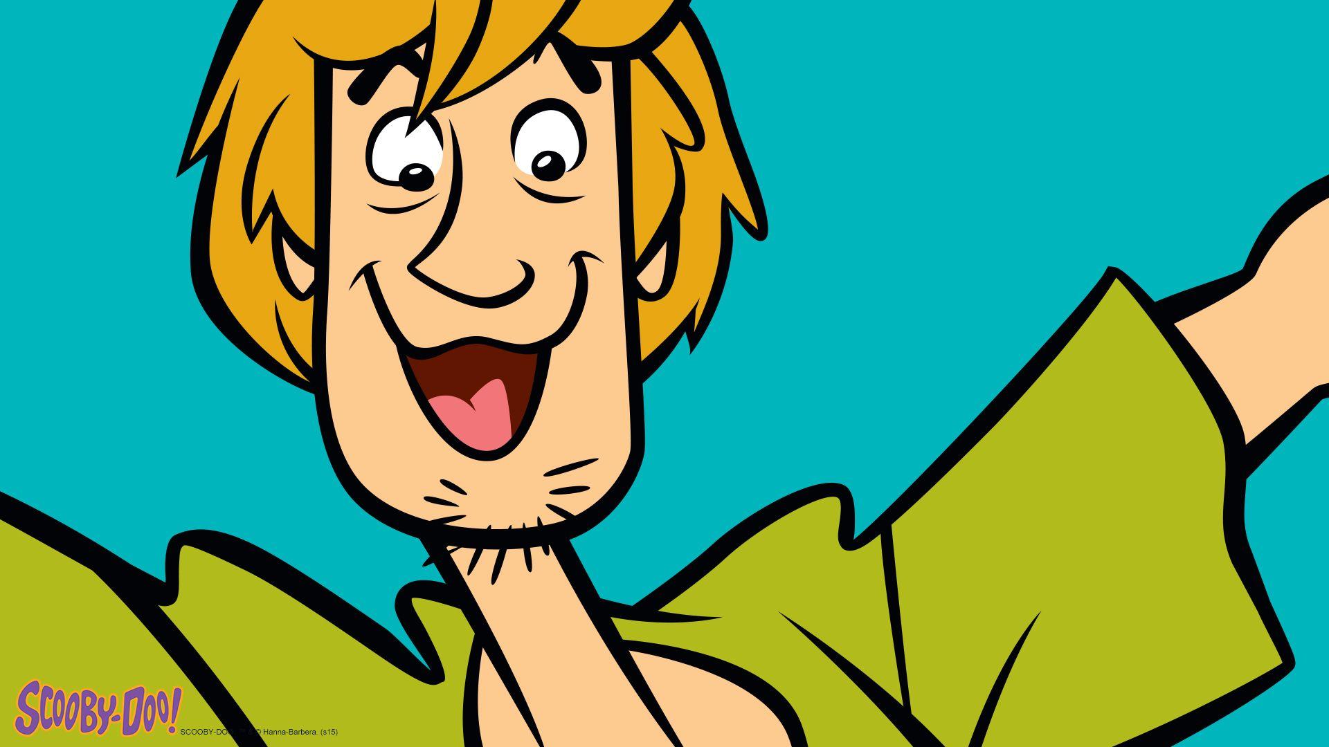 HD wallpaper Shaggy Scooby Doo ScoobyDoo and Shaggy wallpaper Cartoons   Wallpaper Flare