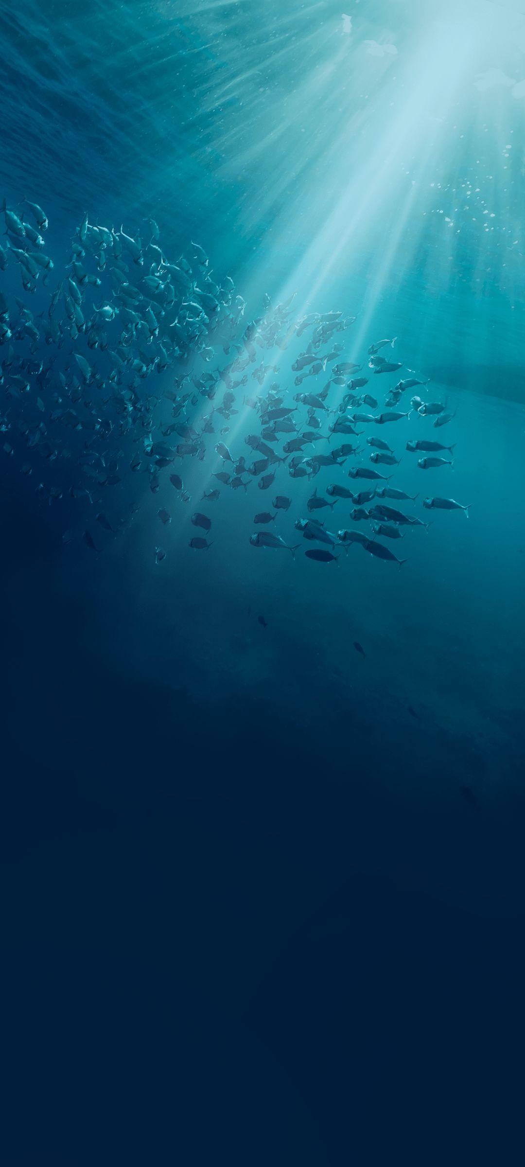 1080x2400 Vivo iQOO 3 Stock Wallpaper [1080x2400]