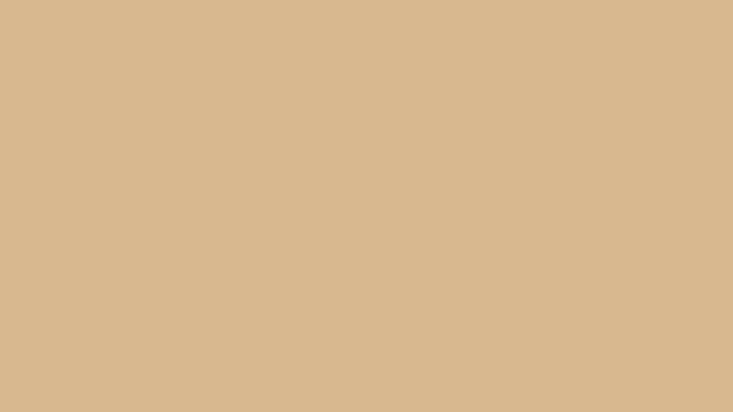 2560x1440 Hình nền Tân Nền màu nâu tuyệt vời Nền màu be Tan màu be Đau khổ Tự làm trong tháng này - Left of The Hudson