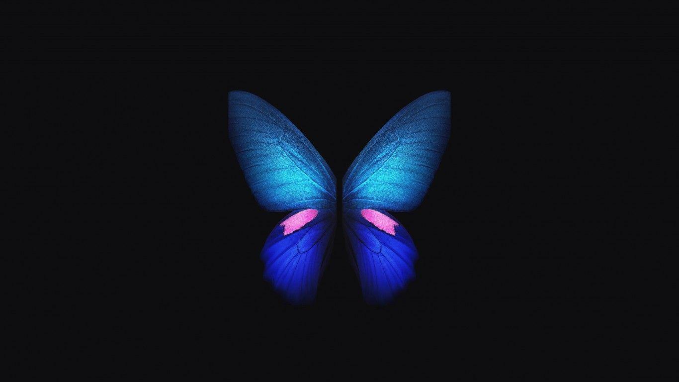 1366x768 Wallpaper Samsung Galaxy Fold, Blue, Butterfly, Stock, 4K, Creative Graphics,. Wallpaper for iPhone, Android, Mobile and Desktop