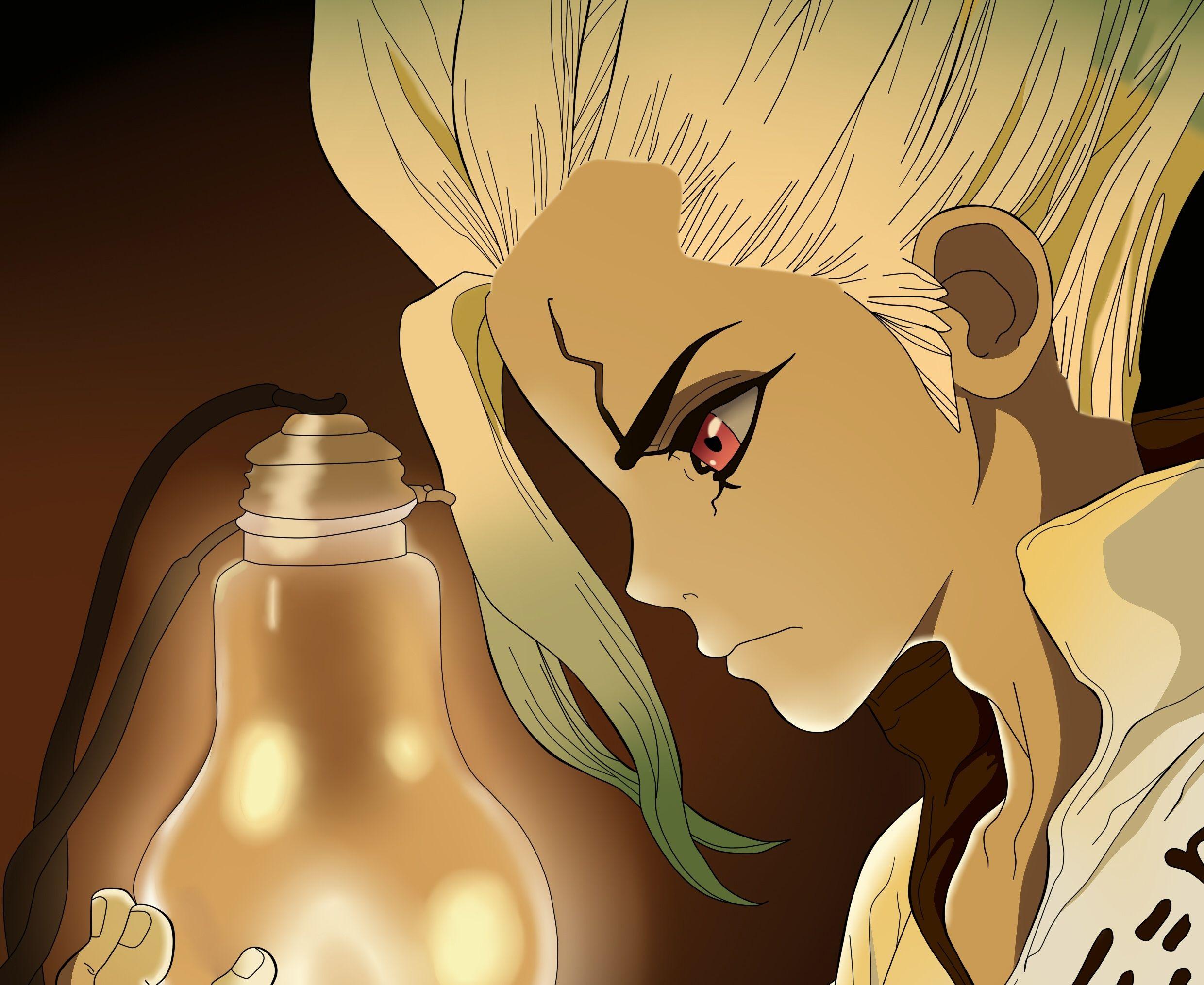 2480x2030 Senku Ishigami Dr. Stone Anime 1440P Resolution Wallpaper, HD Anime 4K Wallpaper, Image, Photo and Background