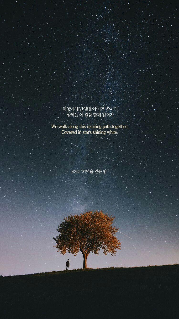 750x1333 Exo Walk On Memories