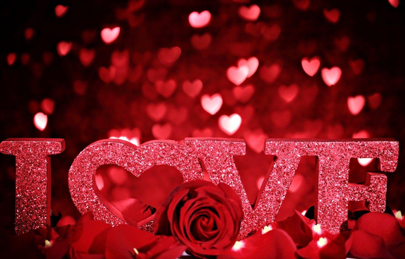 Love Rose Wallpapers - Top Free Love ...
