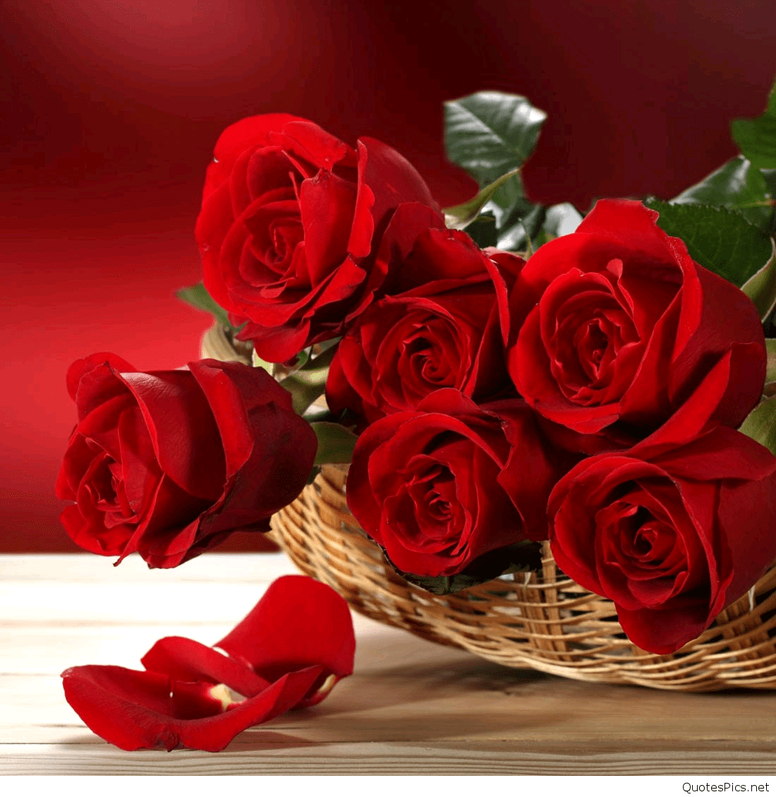 hd love roses wallpaper